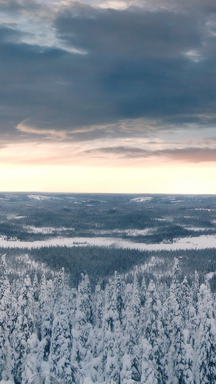 Snow Covered Trees Under Cloudy Sky During Daytime Wallpaper for IPhone ...