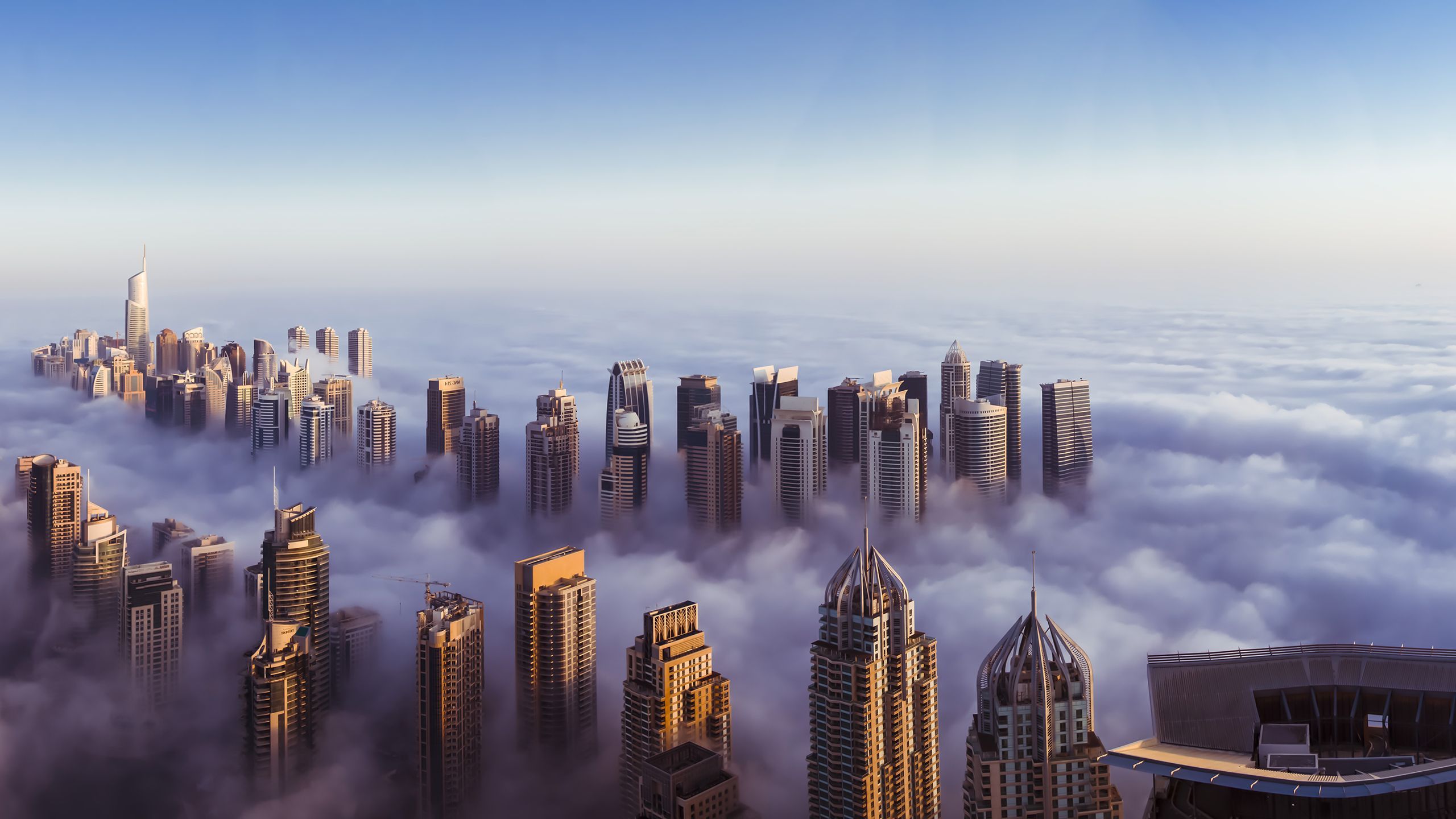 Wallspic Wallpaper High Rise Buildings During Daytime, WQHD, QHD, 16:9 ...