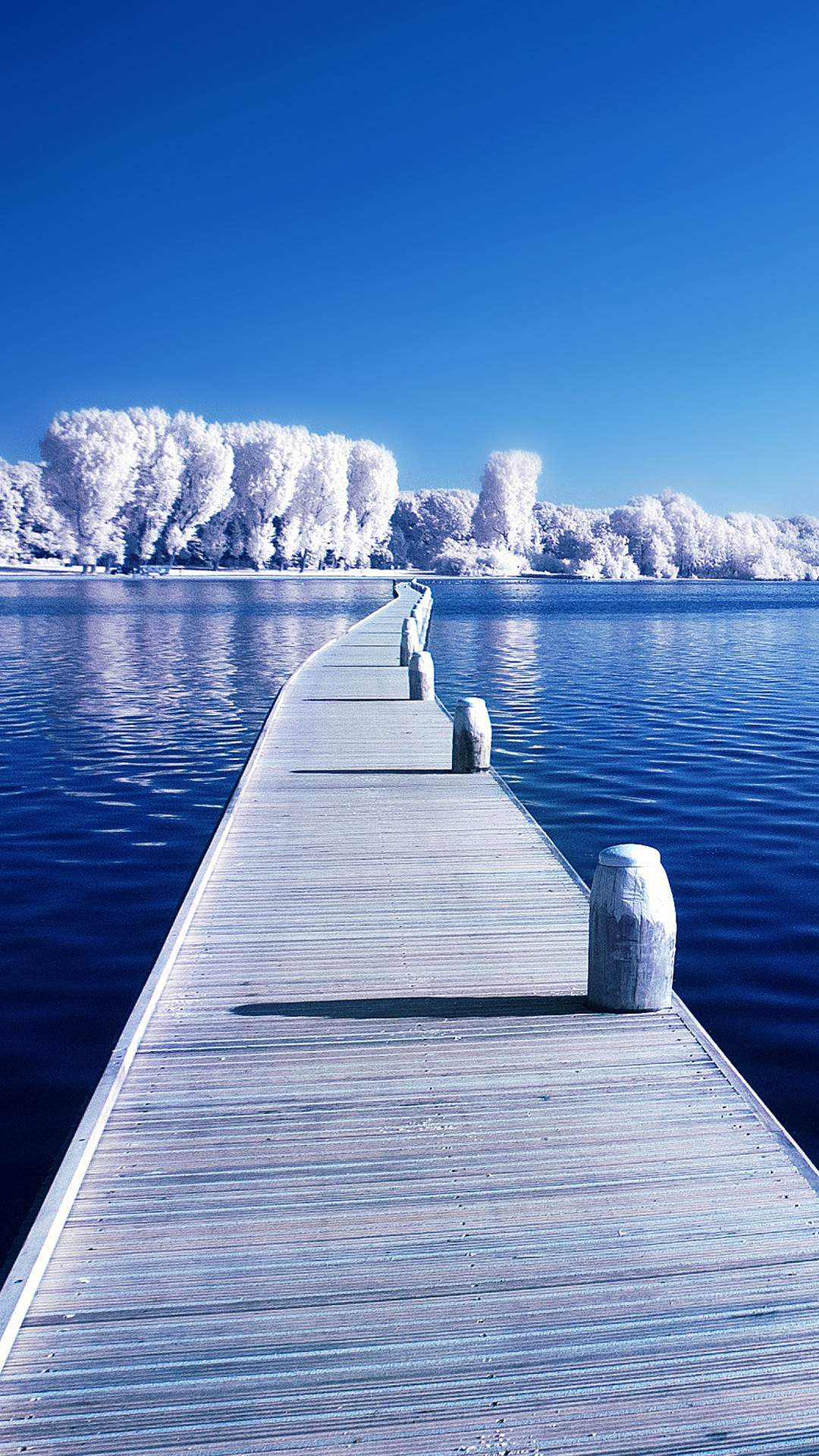 Winter Duschvorhang Mit Bären & Wald-Motiv - Blaue Naturlandschaft Fürs Badezimmer