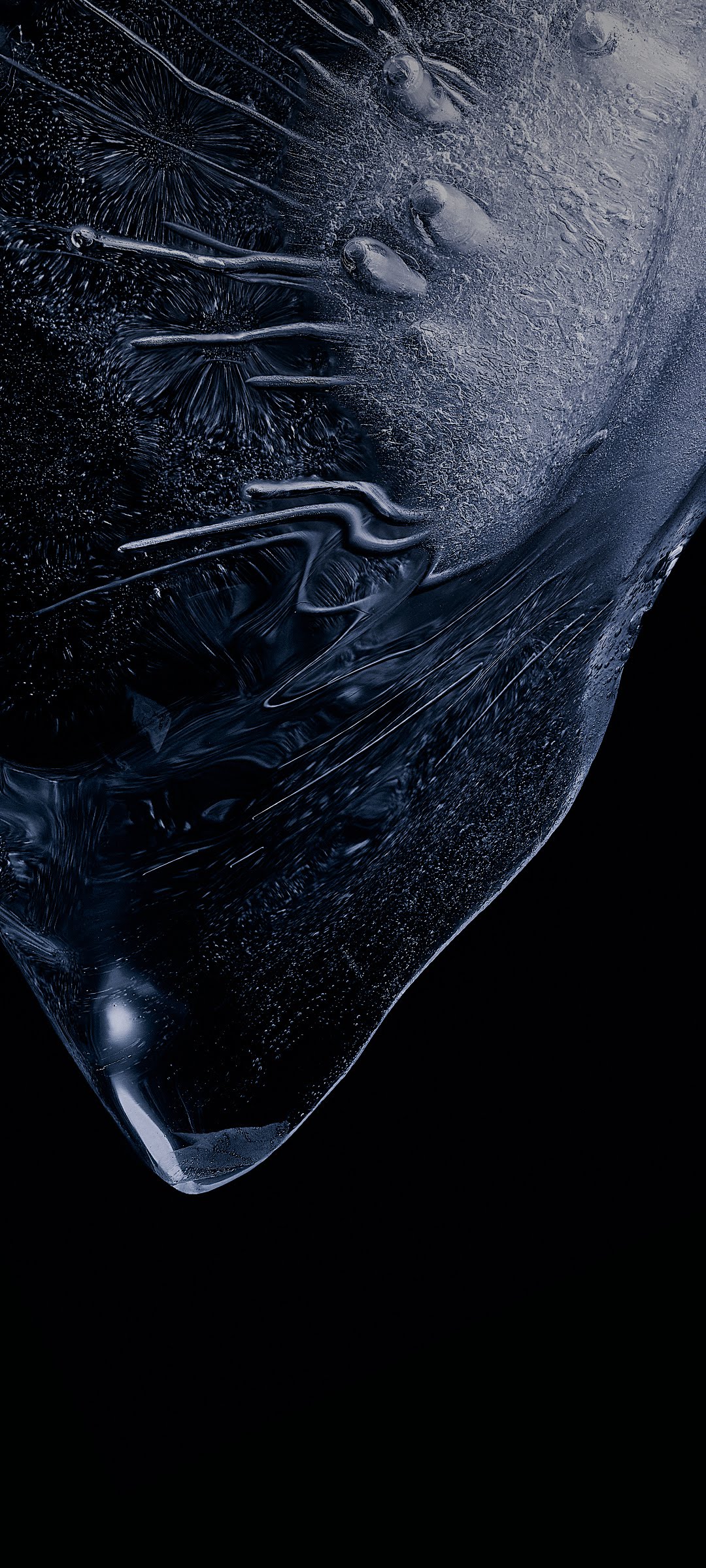 Les Fonds D’écran Xiaomi, MIUI 12, Android, Smartphone, Redmi, Les Images et Les Photos Gratuits