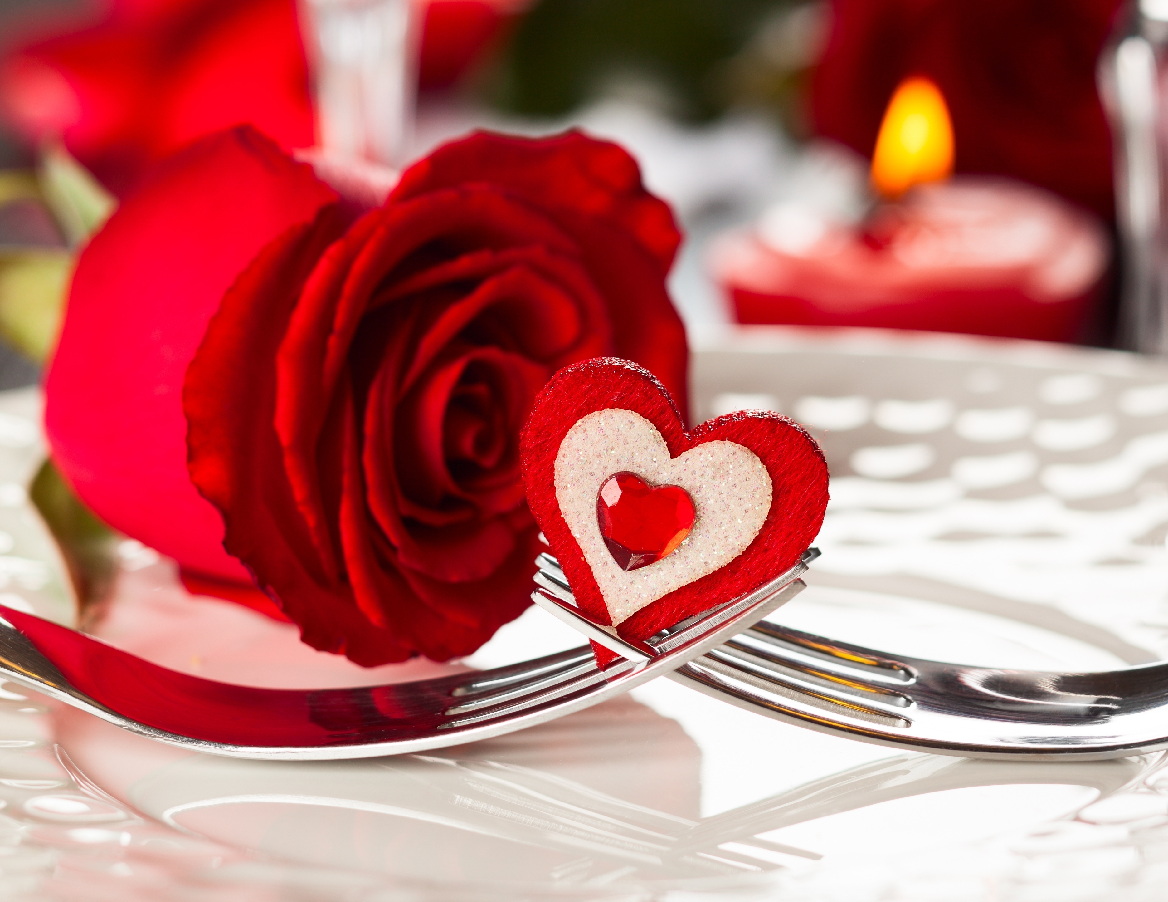 Wallpaper Red Rose, Rose, Flower, Red, Flower Bouquet, Background -  Download Free Image