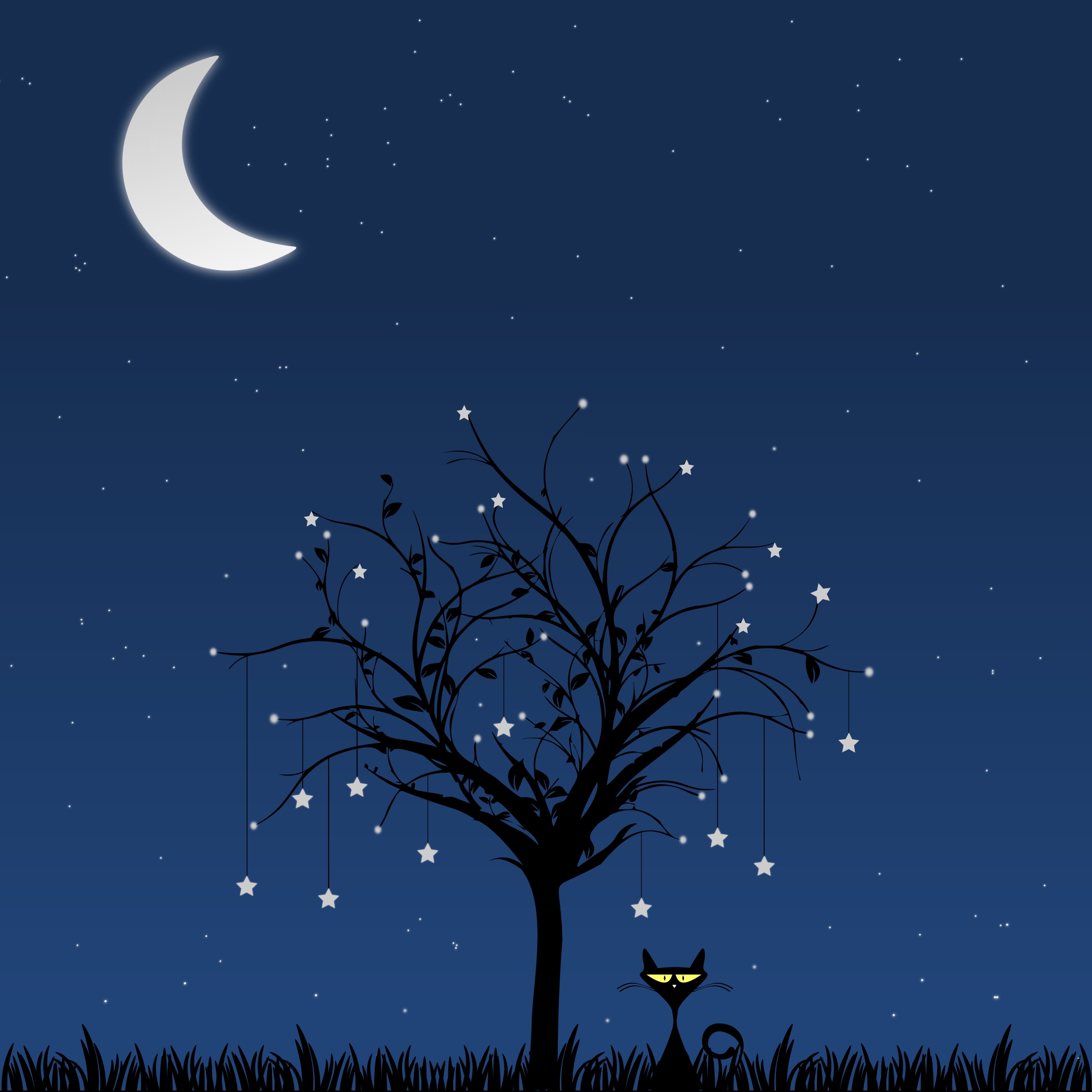 Wallpaper Bare Tree Under Blue Sky During Night Time, Background ...