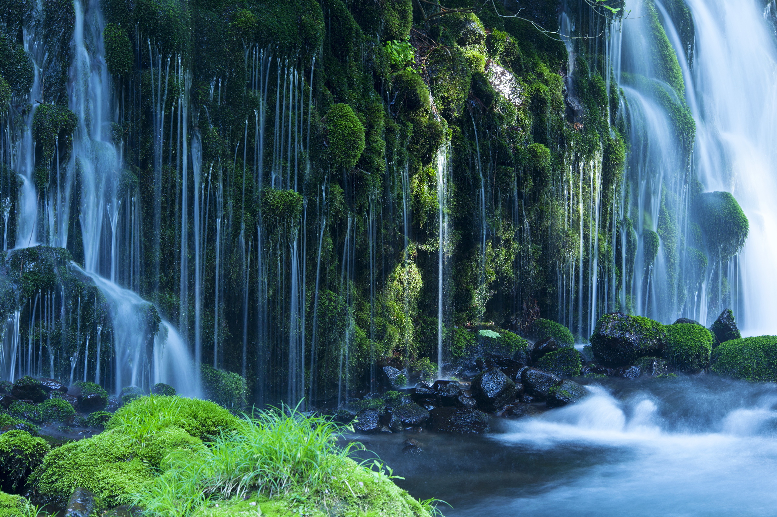 Wallpaper Green Moss on Rock Near Water Falls, Background - Download ...