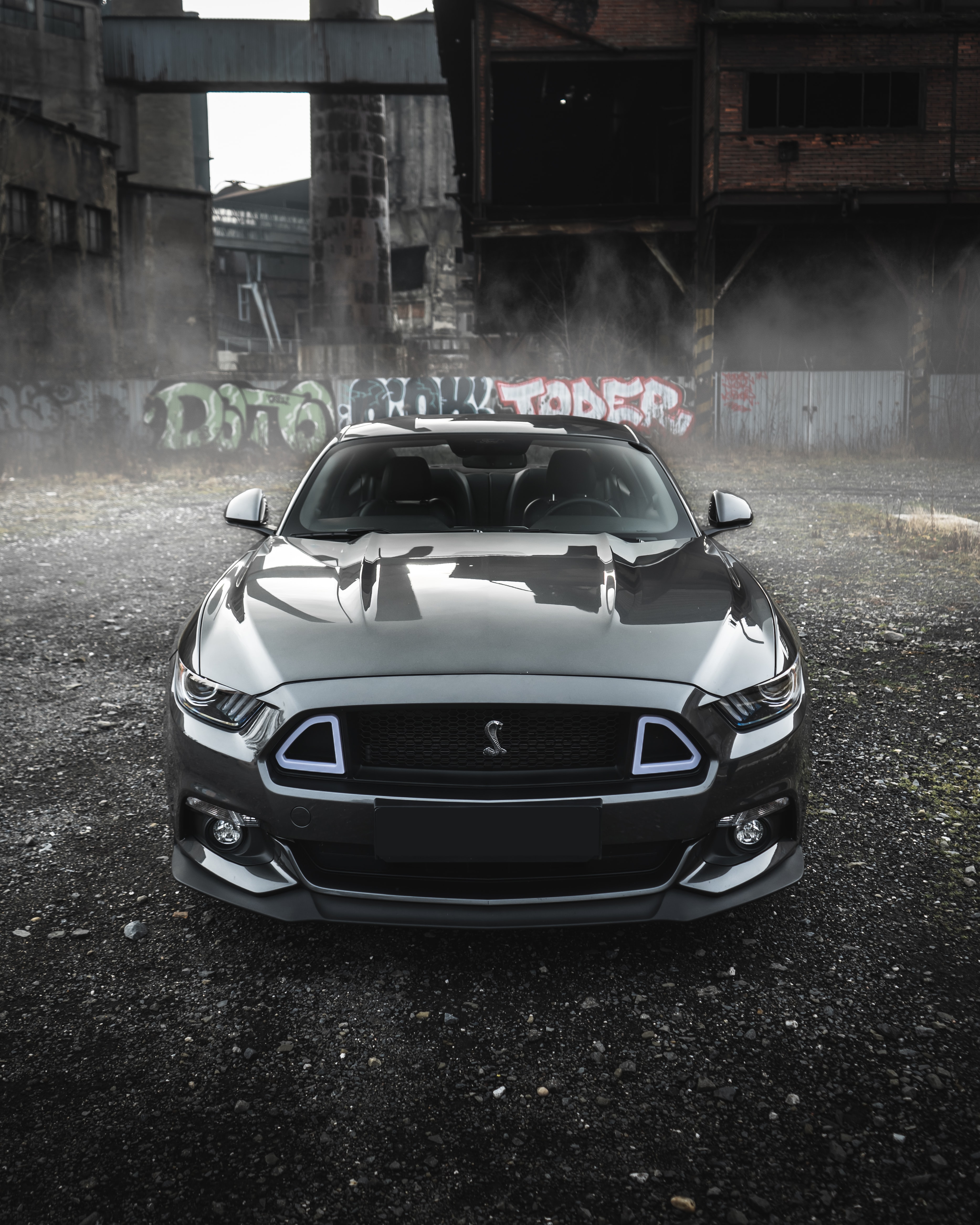 Download wallpaper 750x1334 mustang ford silver muscle car iphone 7  iphone 8 750x1334 hd background 20623