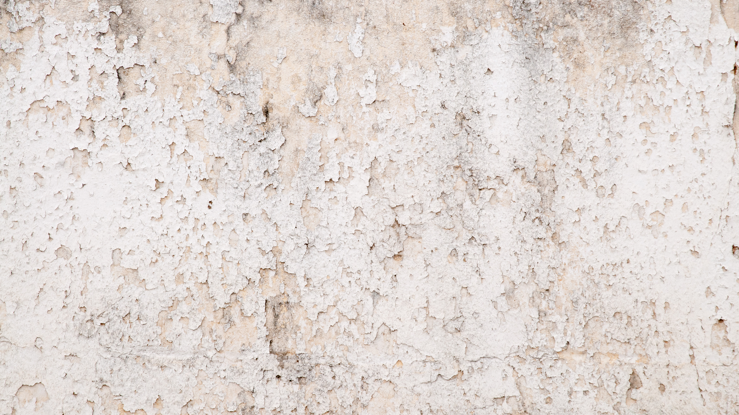 Wallpaper White and Brown Concrete Floor, Background - Download Free Image