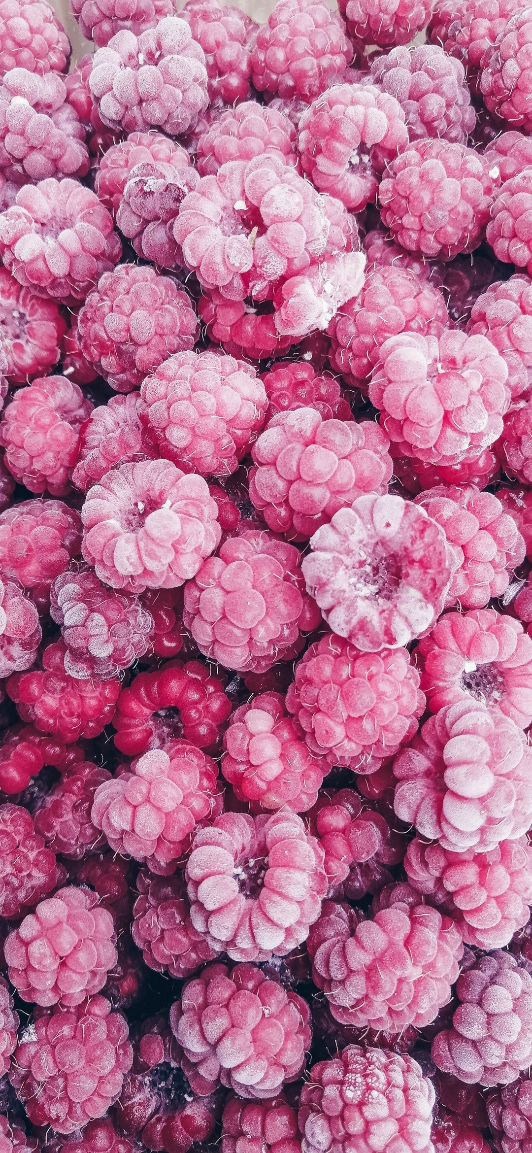 Kostenlose Hintergrundbilder Himbeere, Watermelon, Berry, Erdbeere ...