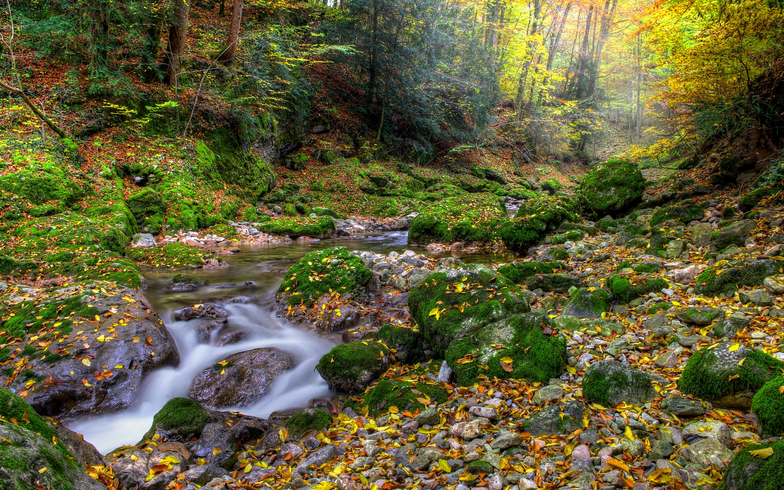 Wallpaper Green Moss on Rocks in River, Background - Download Free Image