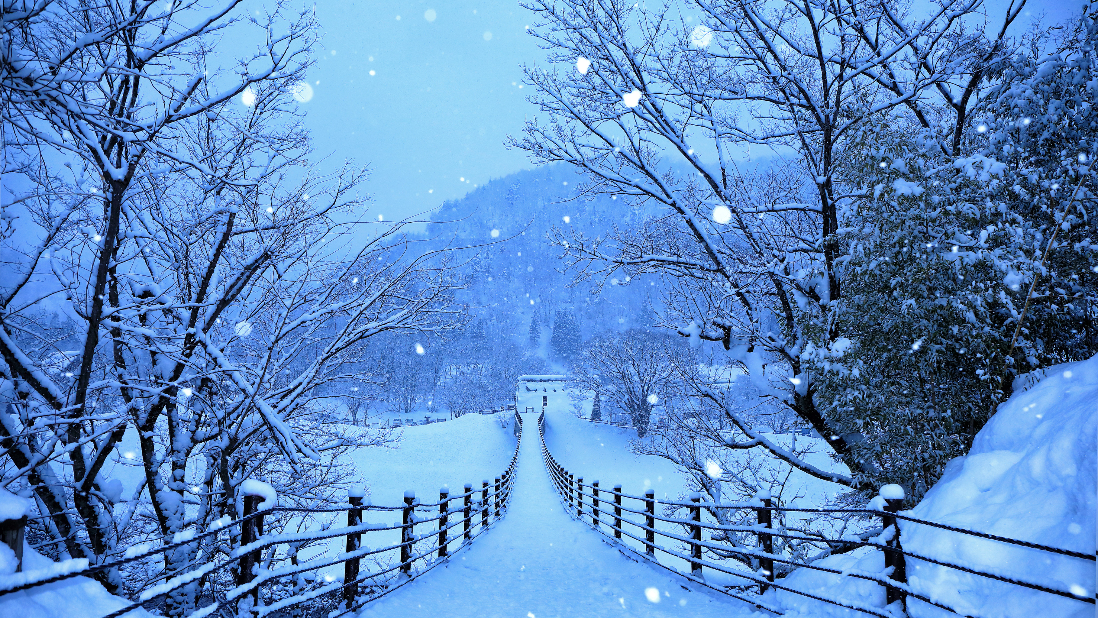 Snow wallpaper. Снежная зима. Обои зима. Зима в Японии. Зима HD.