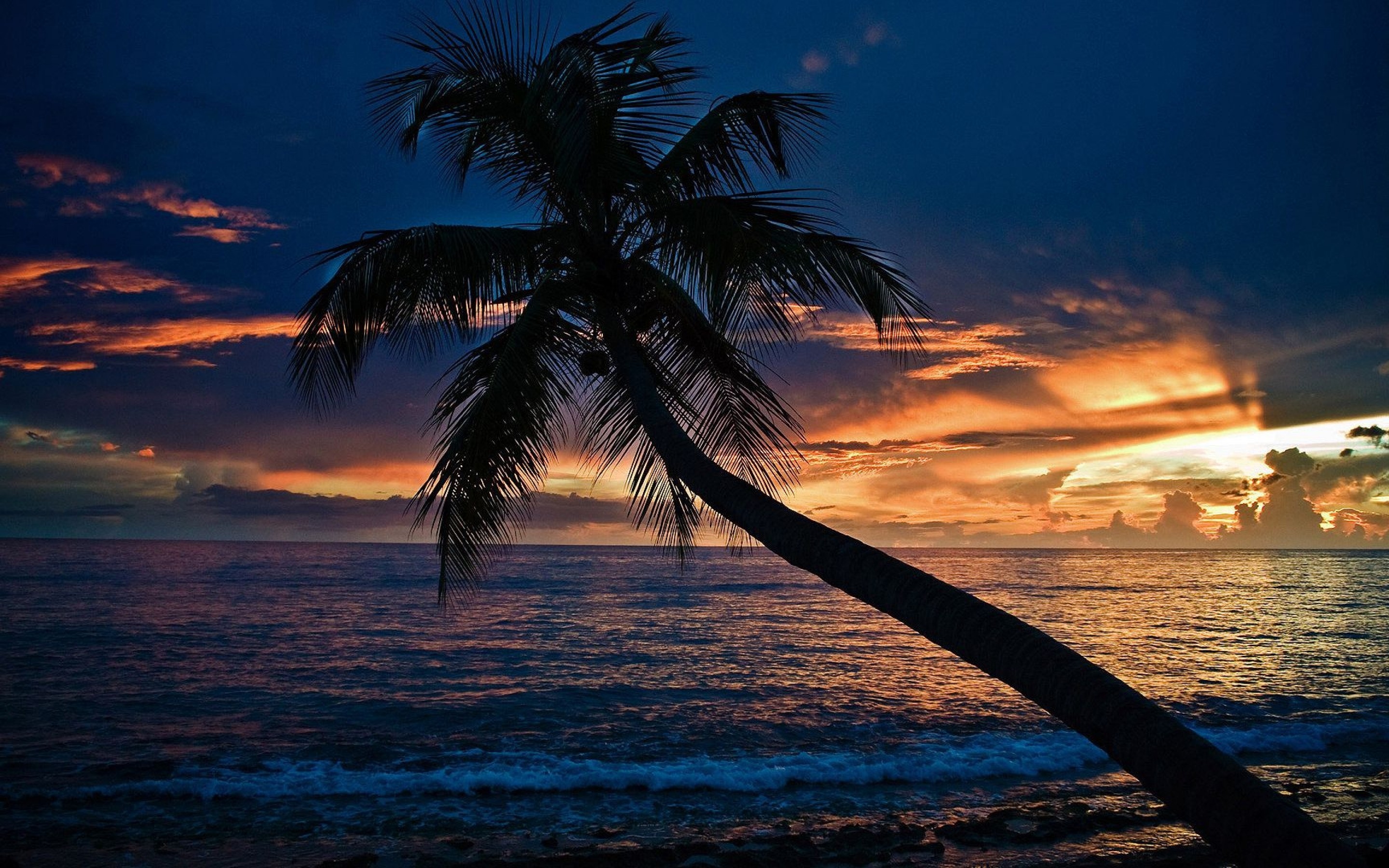 Beach Night Wallpaper
