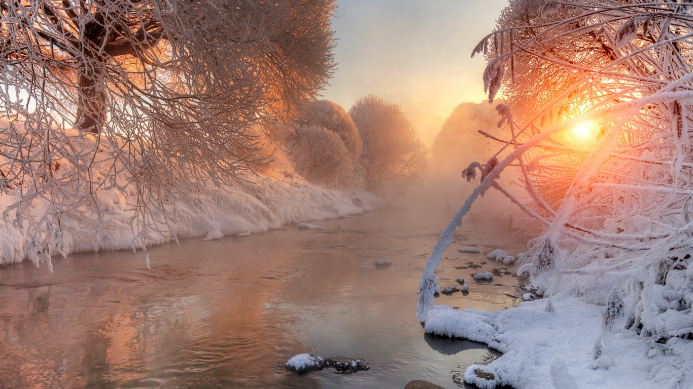 Plan D'eau Entre Les Arbres Nus Pendant la Journée. Wallpaper in 1366x768 Resolution