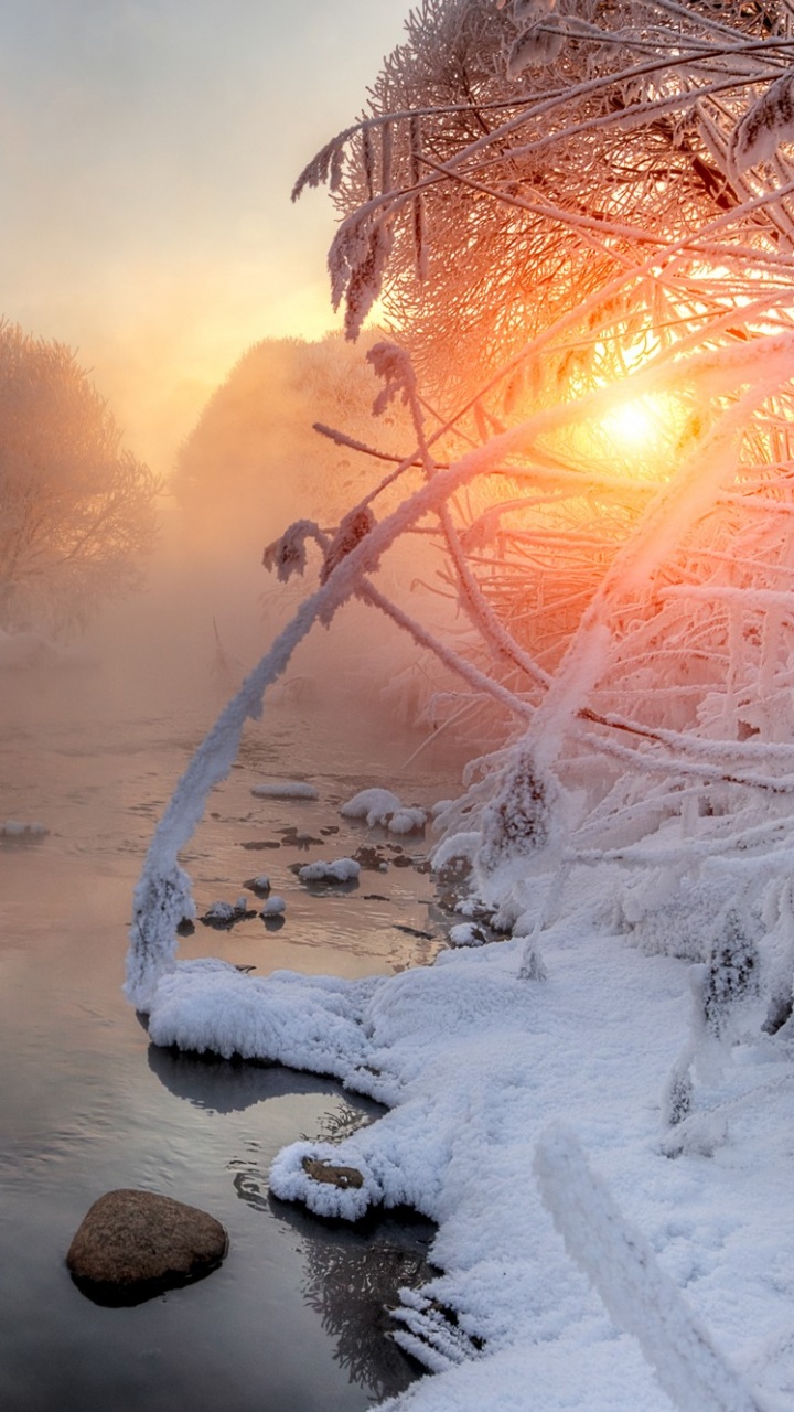冬天, 冻结, 早上, 阳光, 手持设备 壁纸 720x1280 允许