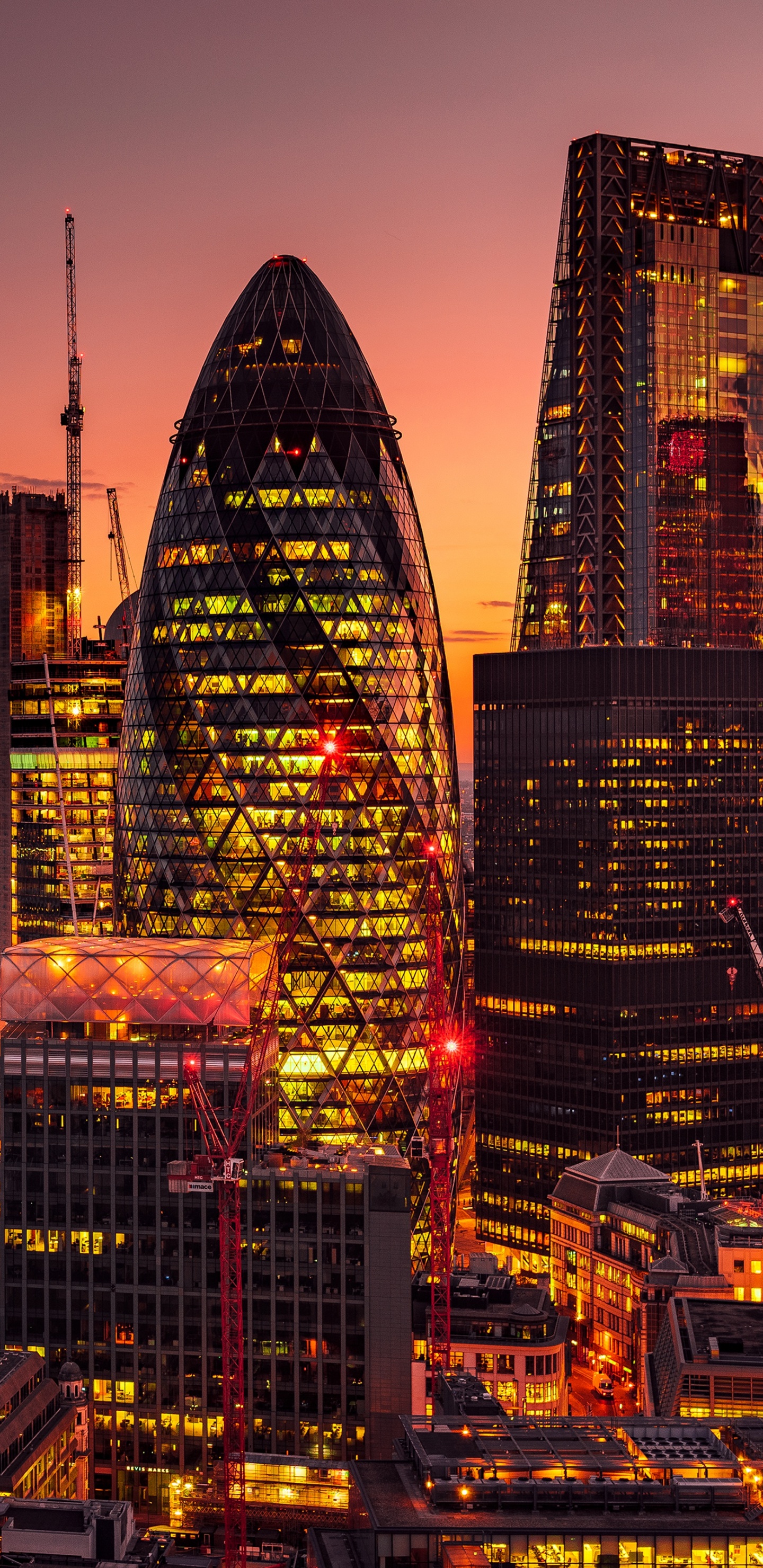 City Skyline During Night Time. Wallpaper in 1440x2960 Resolution