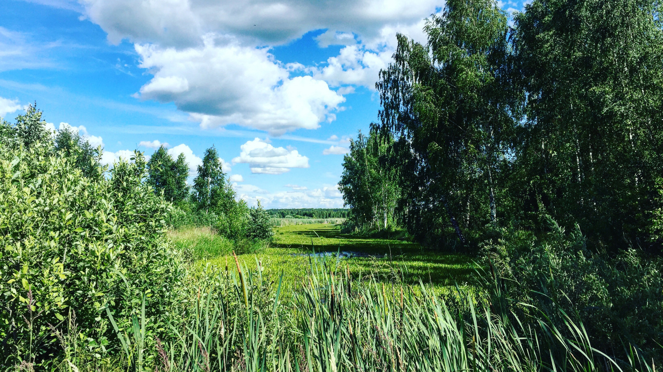 Grüne Wiese Und Grüne Bäume Unter Blauem Himmel Und Weißen Wolken Tagsüber. Wallpaper in 1366x768 Resolution
