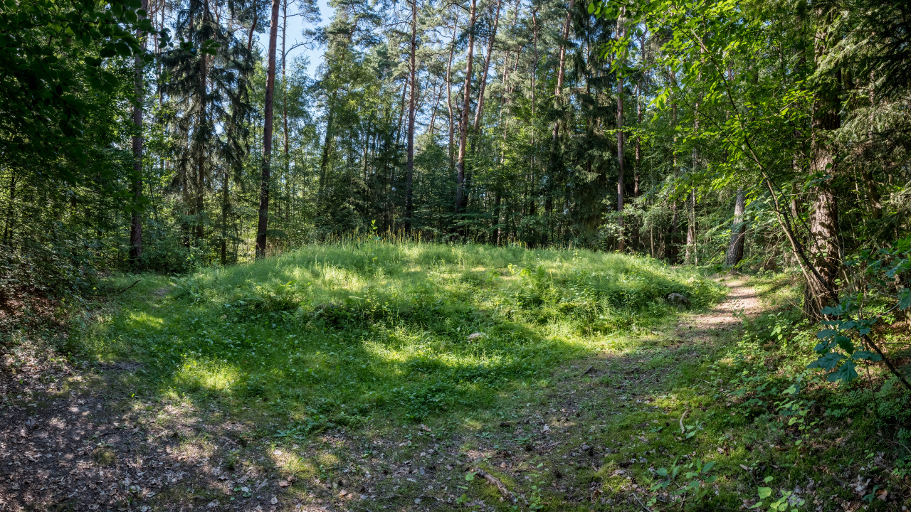 Vegetation, Natur, Gras, Natürlichen Umgebung, Naturlandschaft. Wallpaper in 1280x720 Resolution
