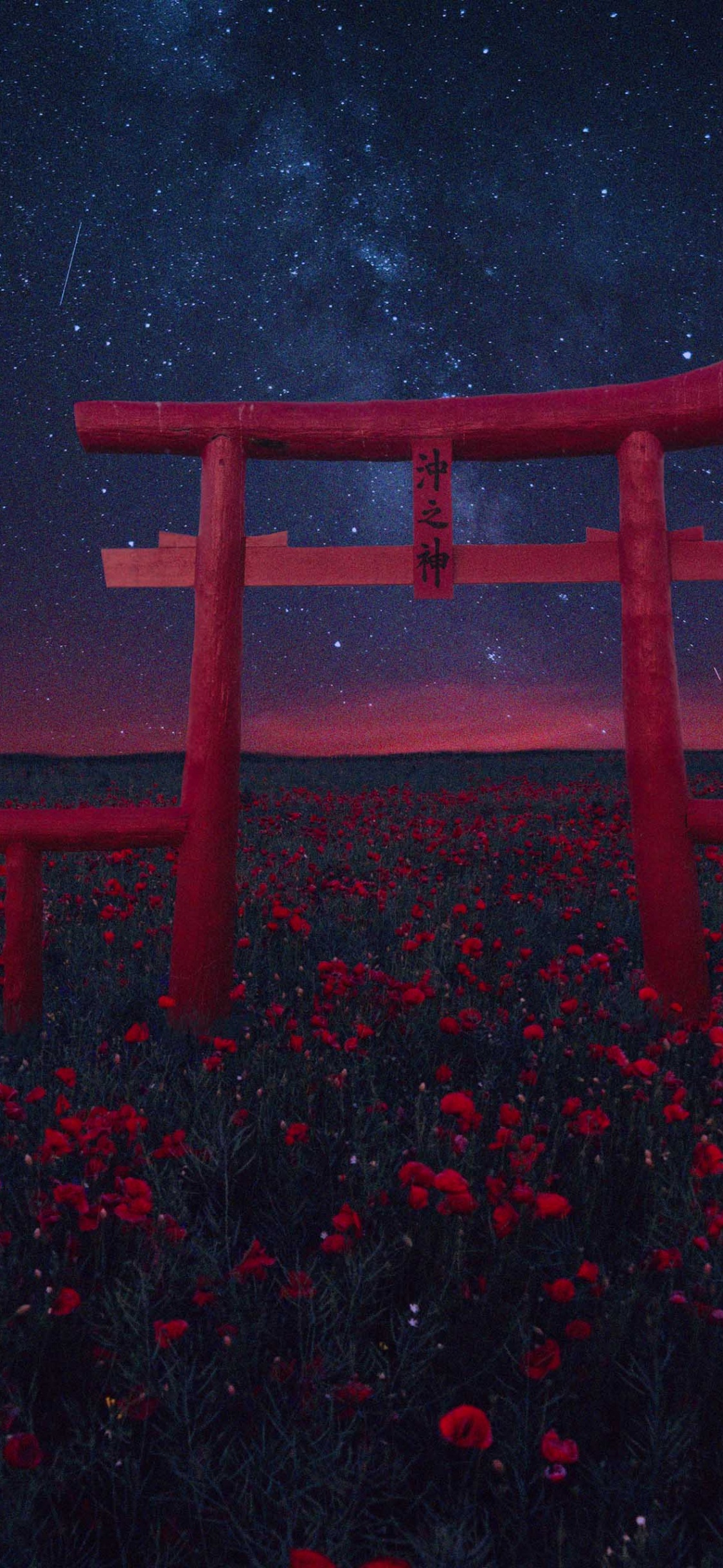 Atmosphère, Eau, Torii, Red, Plantes Ligneuses. Wallpaper in 1125x2436 Resolution