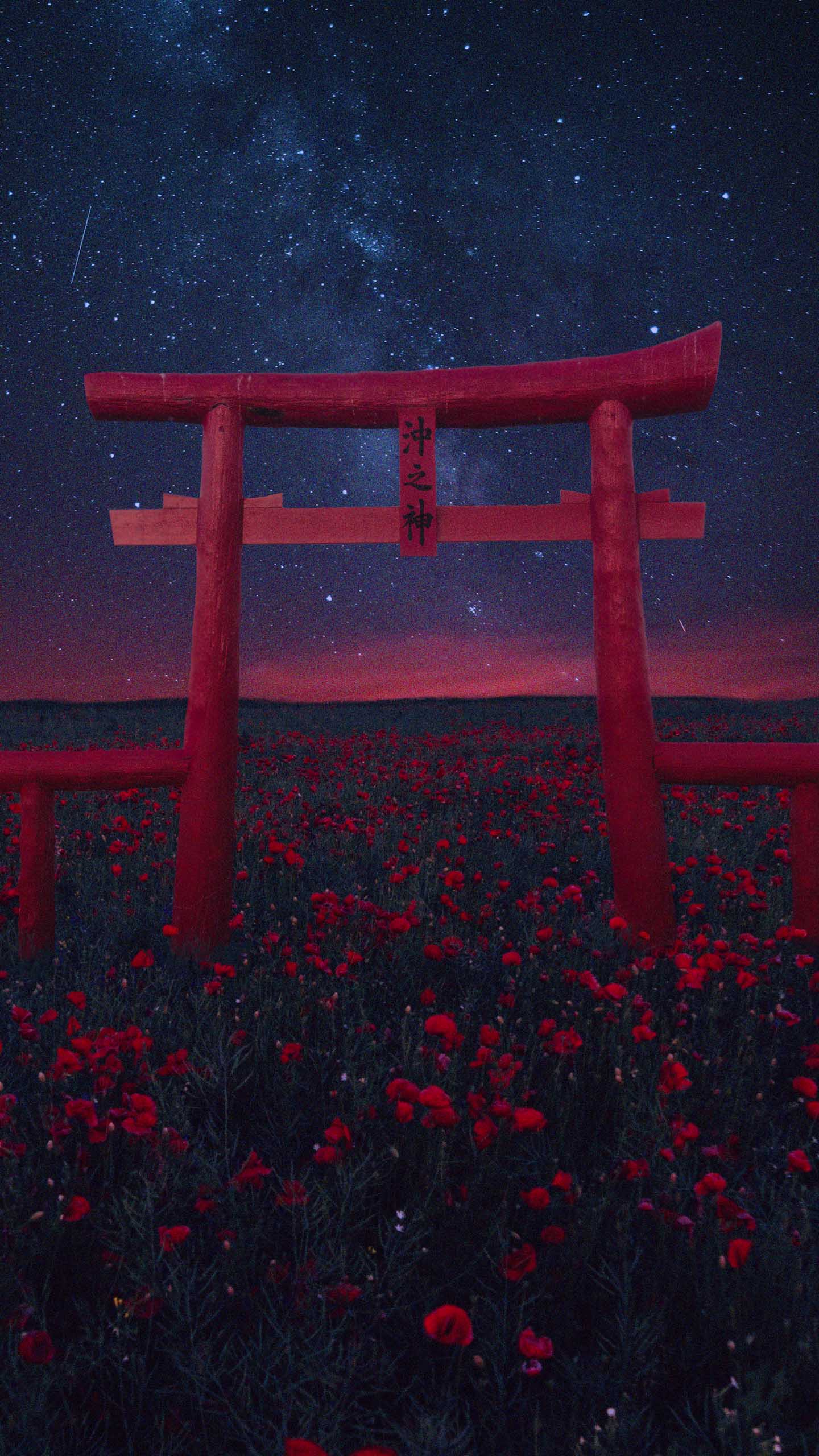 Atmosphère, Eau, Torii, Red, Plantes Ligneuses. Wallpaper in 1440x2560 Resolution