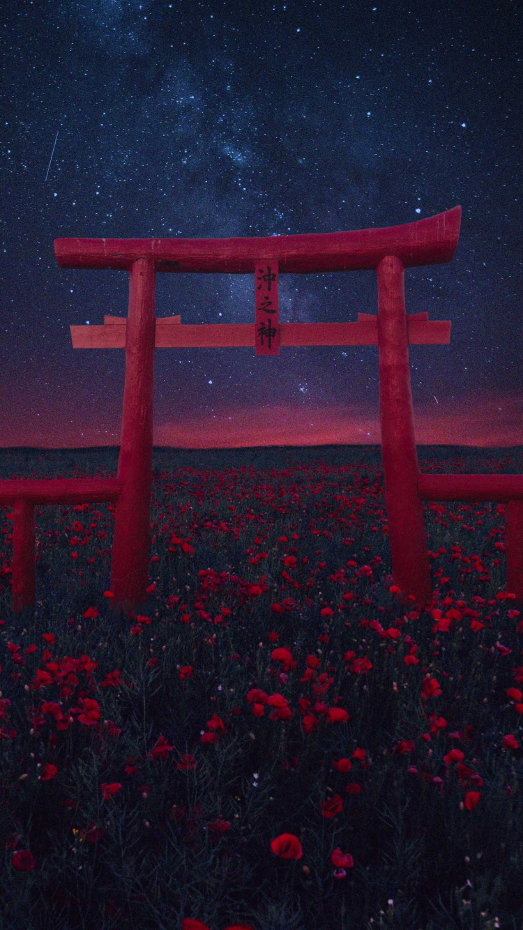 Atmosphere, Plant, Water, Flower, Torii. Wallpaper in 750x1334 Resolution