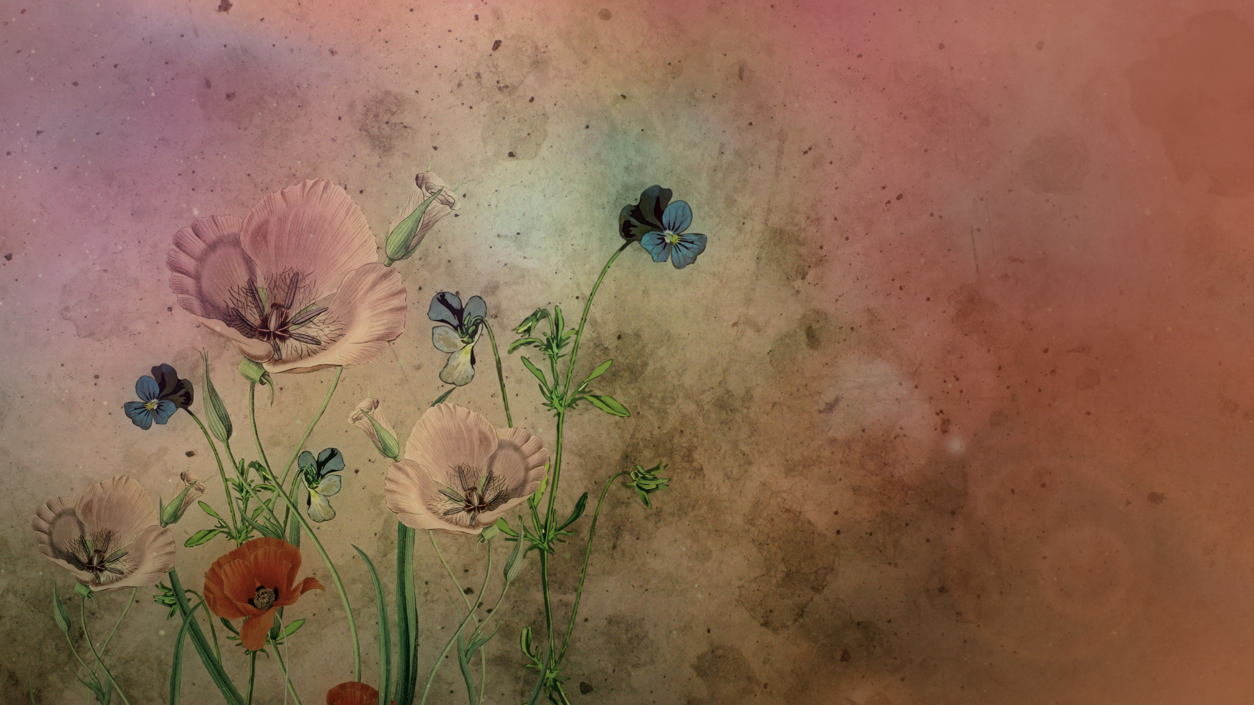 Peinture de Fleurs Blanches et Brunes. Wallpaper in 2560x1440 Resolution