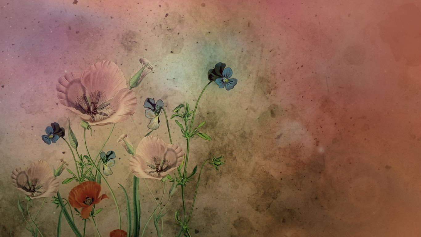 Pintura de Flores Blancas y Marrones. Wallpaper in 1366x768 Resolution