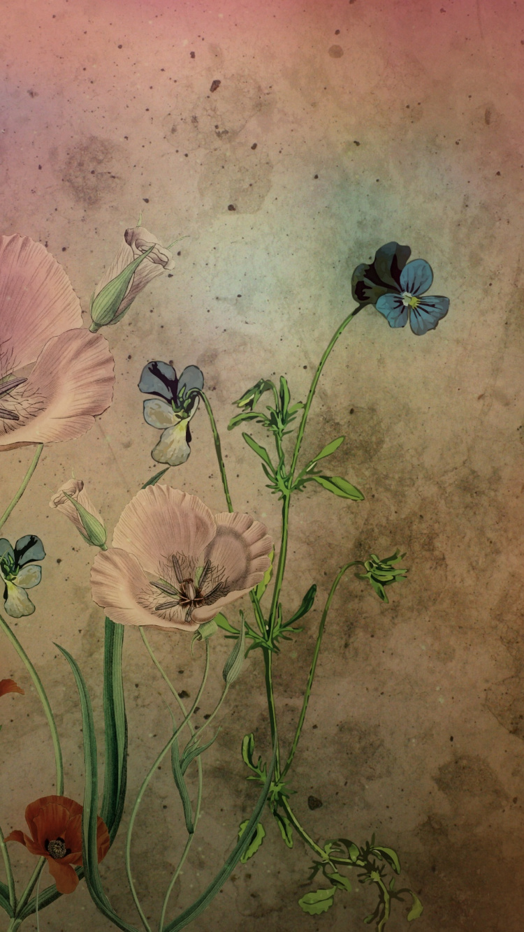 Pintura de Flores Blancas y Marrones. Wallpaper in 750x1334 Resolution