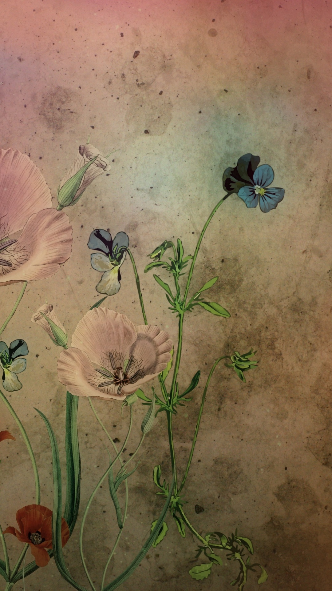 White and Brown Flower Painting. Wallpaper in 1080x1920 Resolution