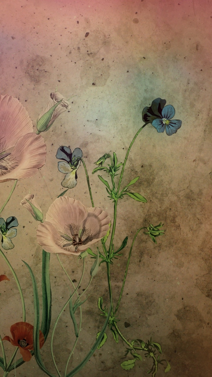 White and Brown Flower Painting. Wallpaper in 720x1280 Resolution