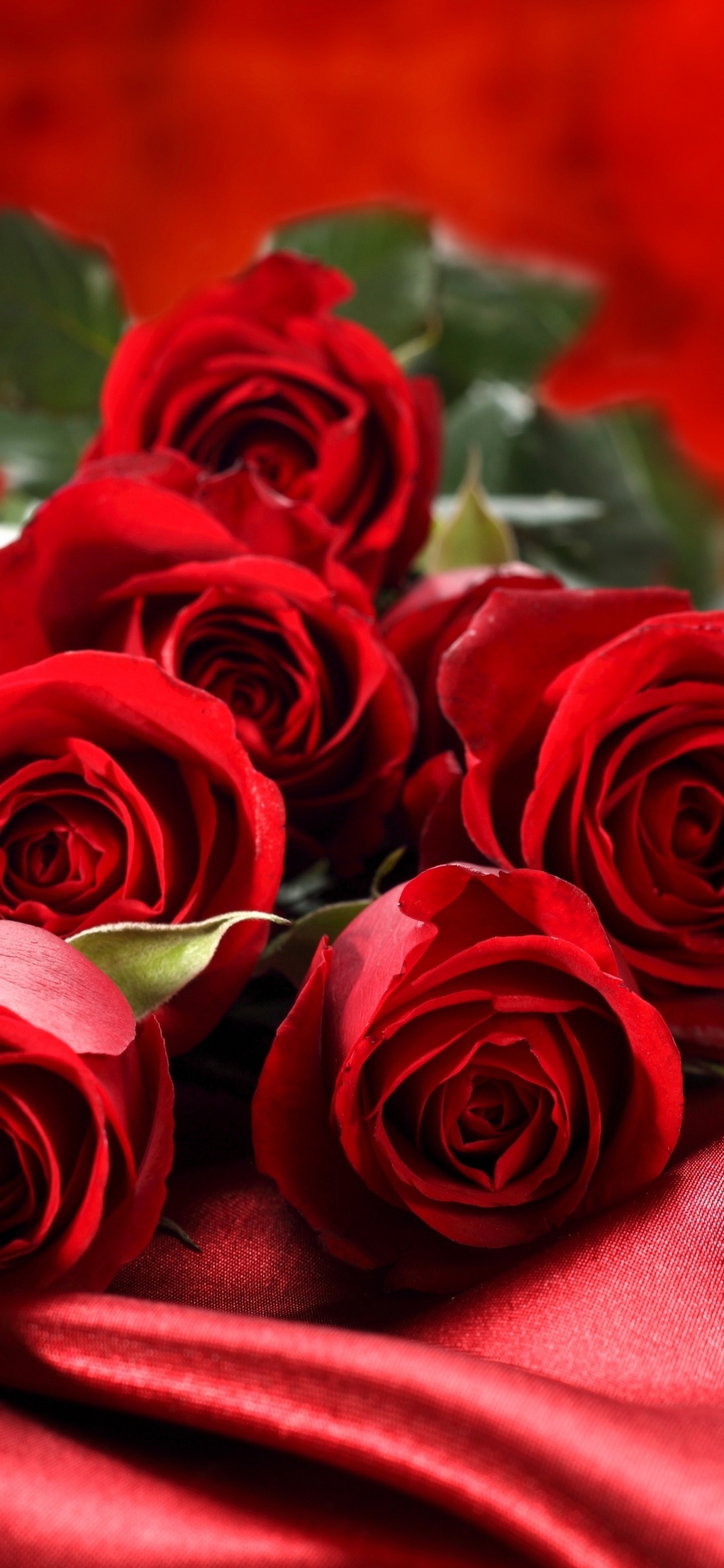 Red Roses on Red Textile. Wallpaper in 1125x2436 Resolution