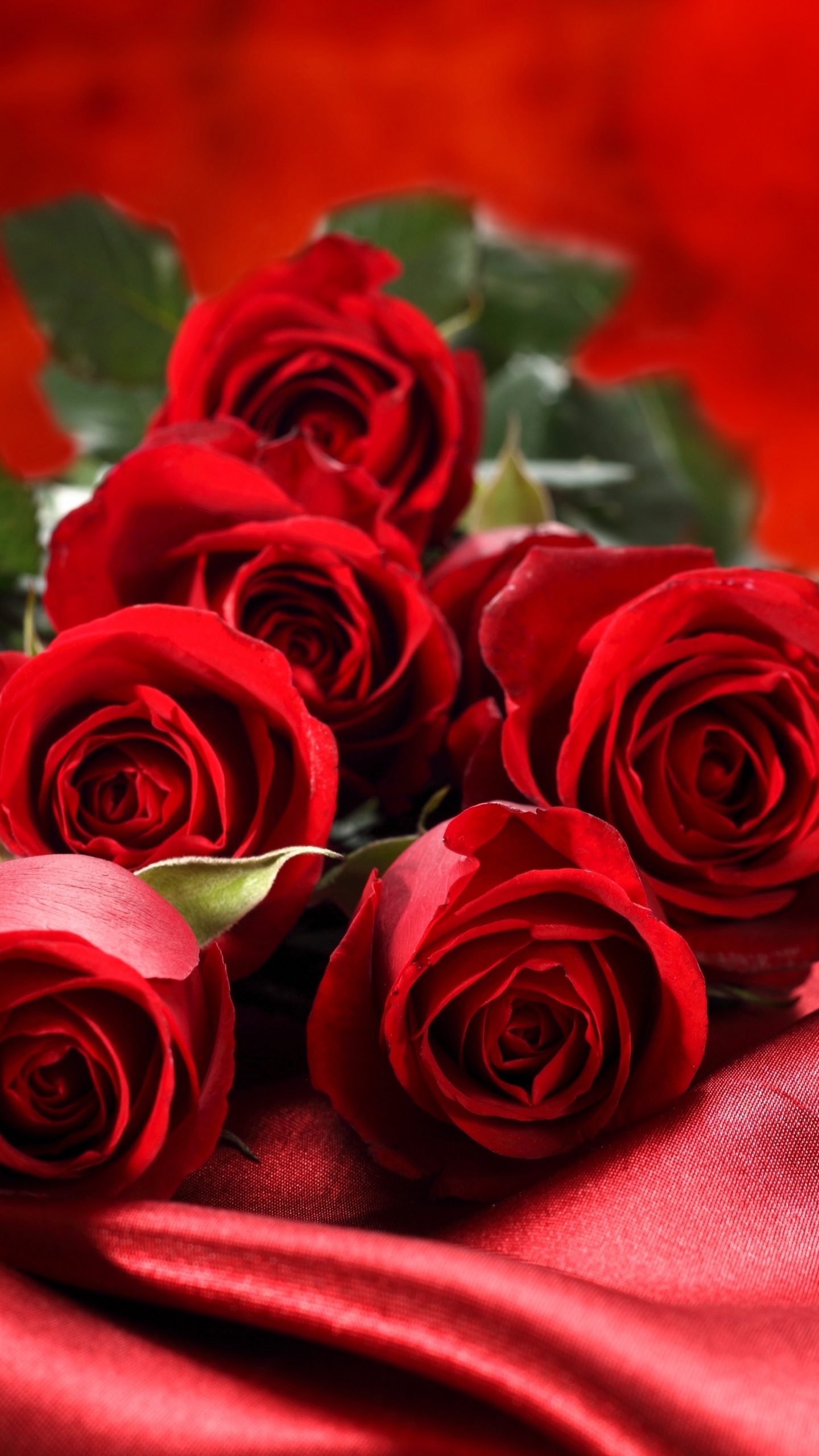 Red Roses on Red Textile. Wallpaper in 1440x2560 Resolution