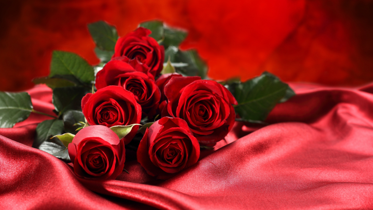 Rote Rosen Auf Rotem Textil. Wallpaper in 1280x720 Resolution