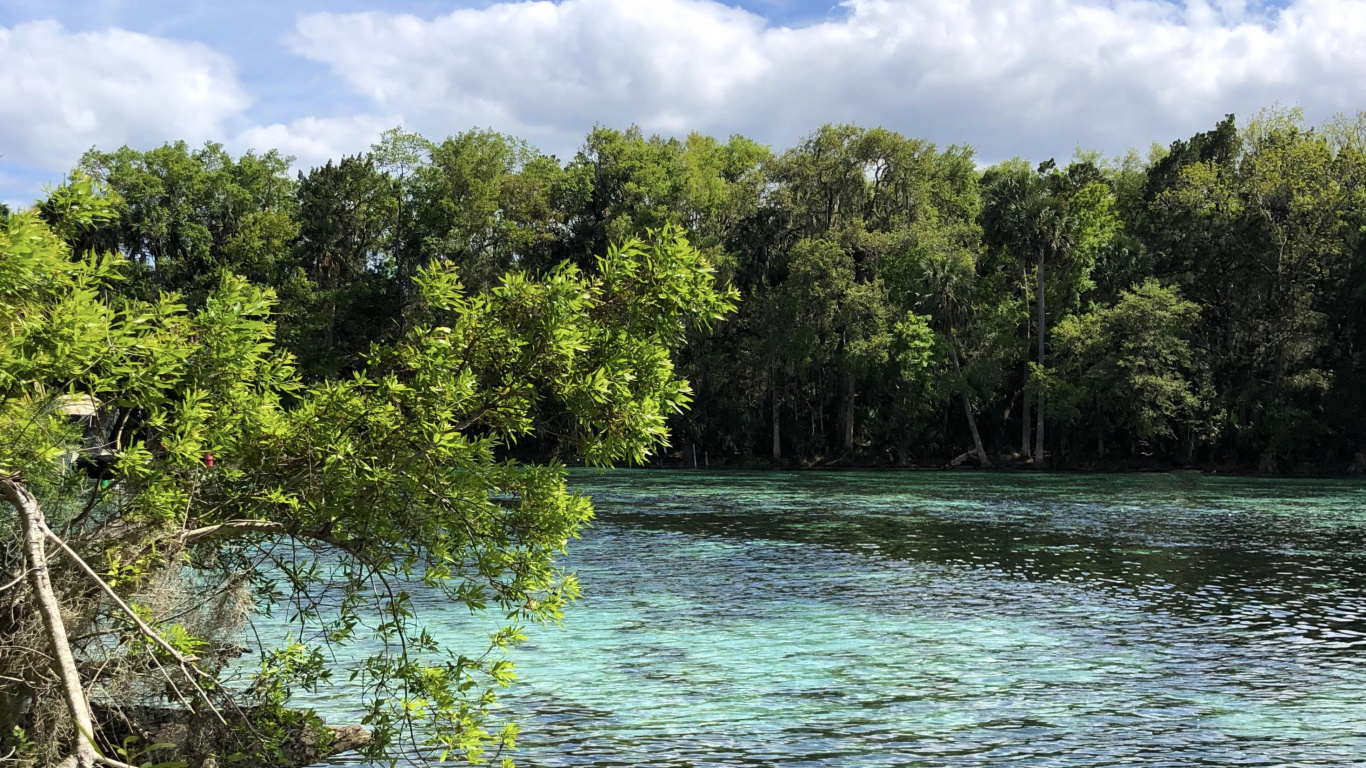 Nature, Vegetation, Branch, Cloud, Natural Landscape. Wallpaper in 1366x768 Resolution