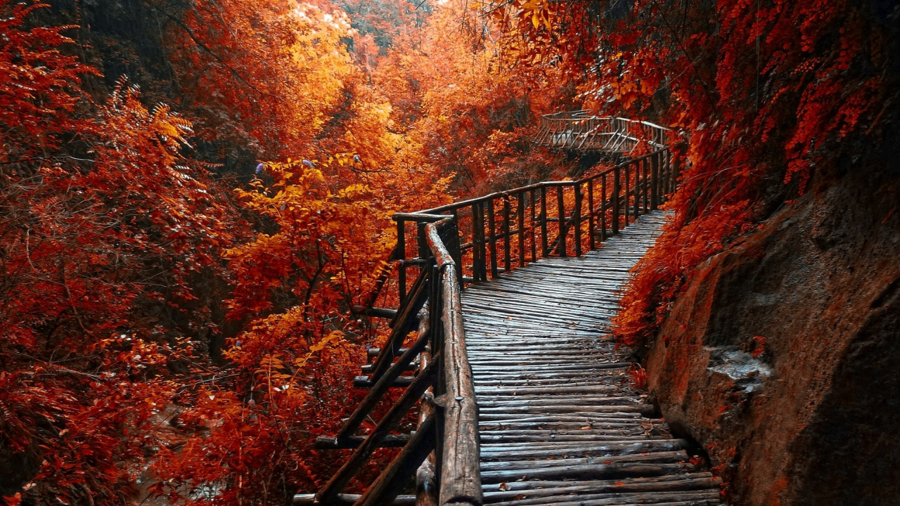 Pont en Bois Brun Entre Les Arbres. Wallpaper in 1280x720 Resolution
