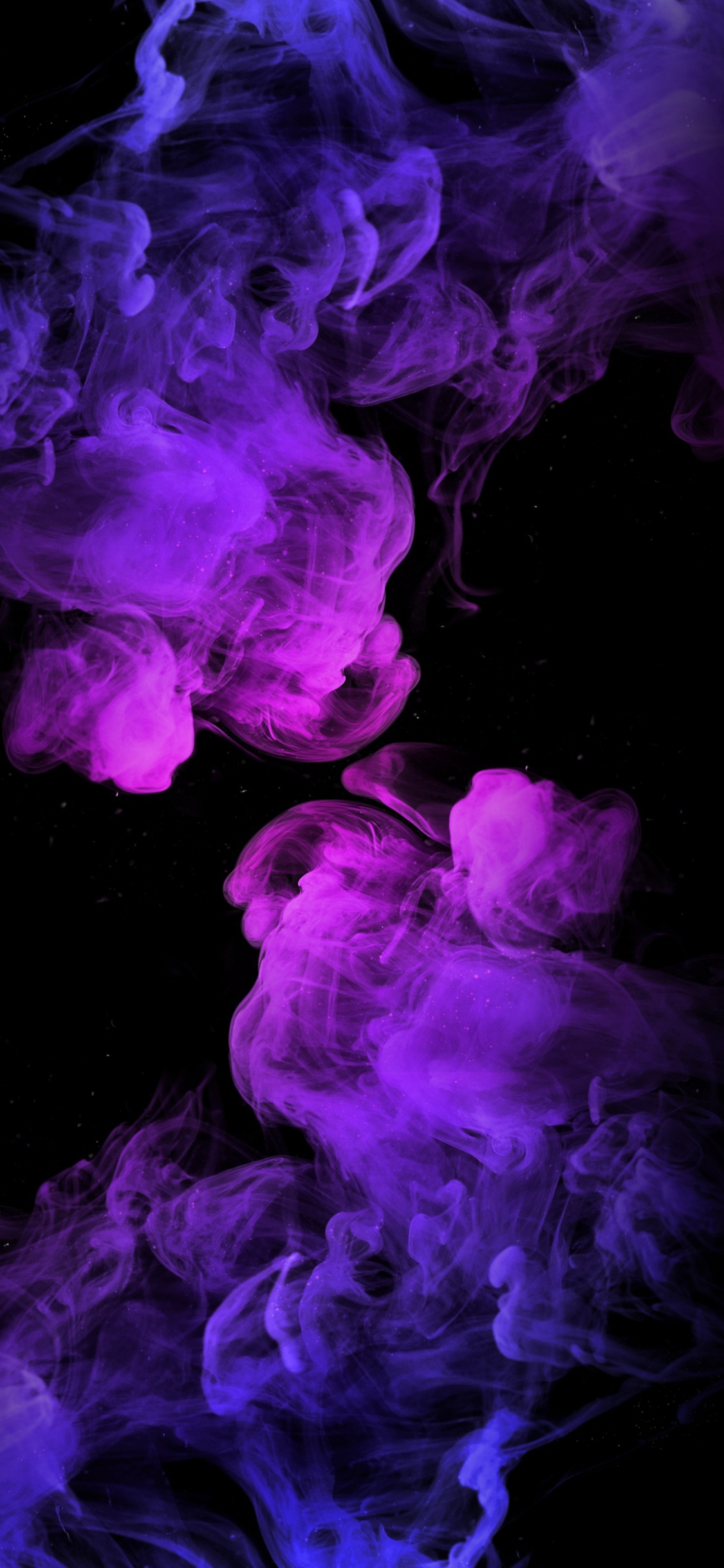 Fumeur, Purple, Pétale, Eau, Violette. Wallpaper in 1125x2436 Resolution