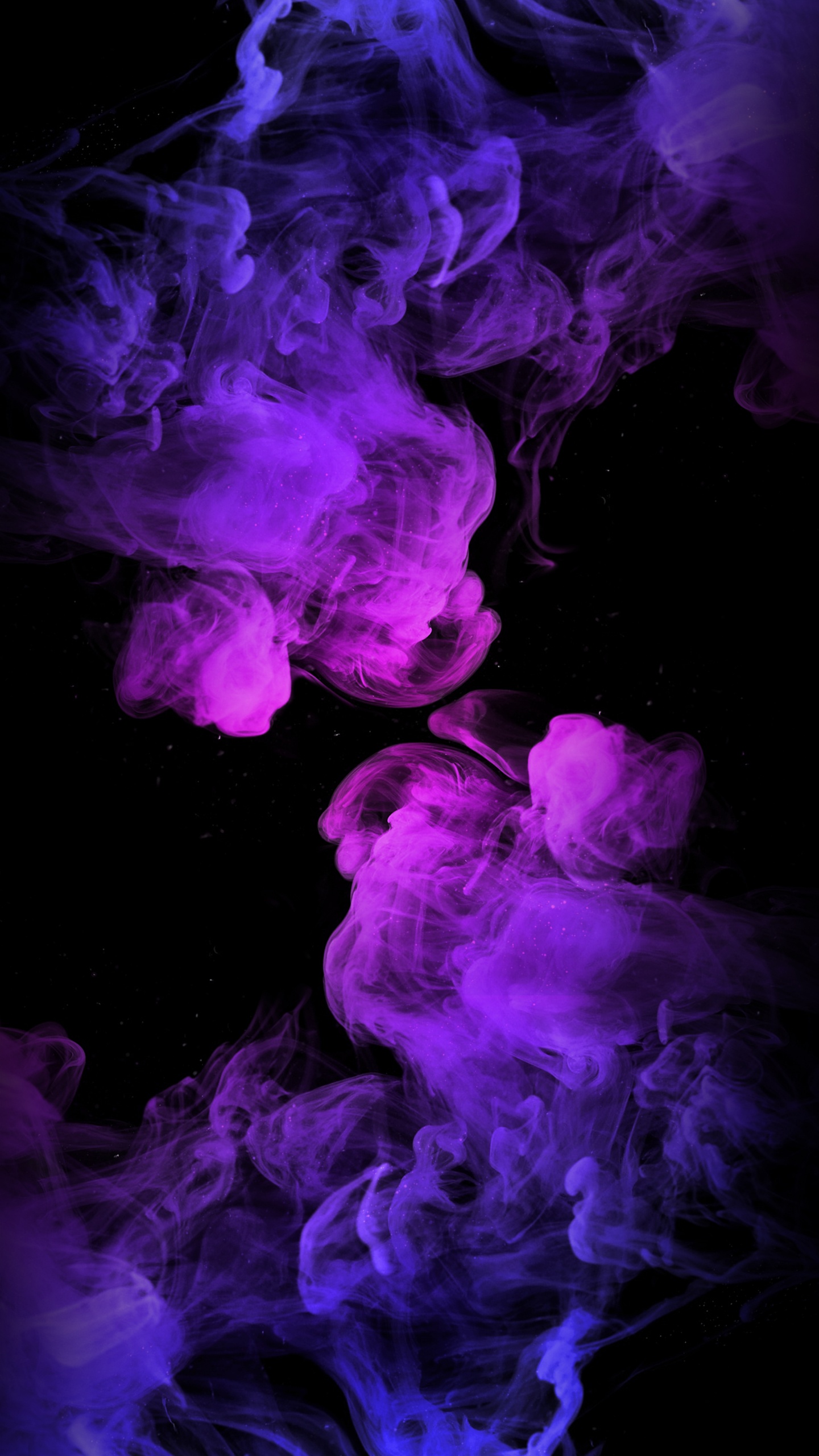 Smoke, Plant, Purple, Petal, Water. Wallpaper in 1440x2560 Resolution