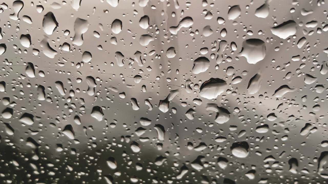 Tropfen, Regen, Tau, Wasser, Nieselregen. Wallpaper in 1280x720 Resolution