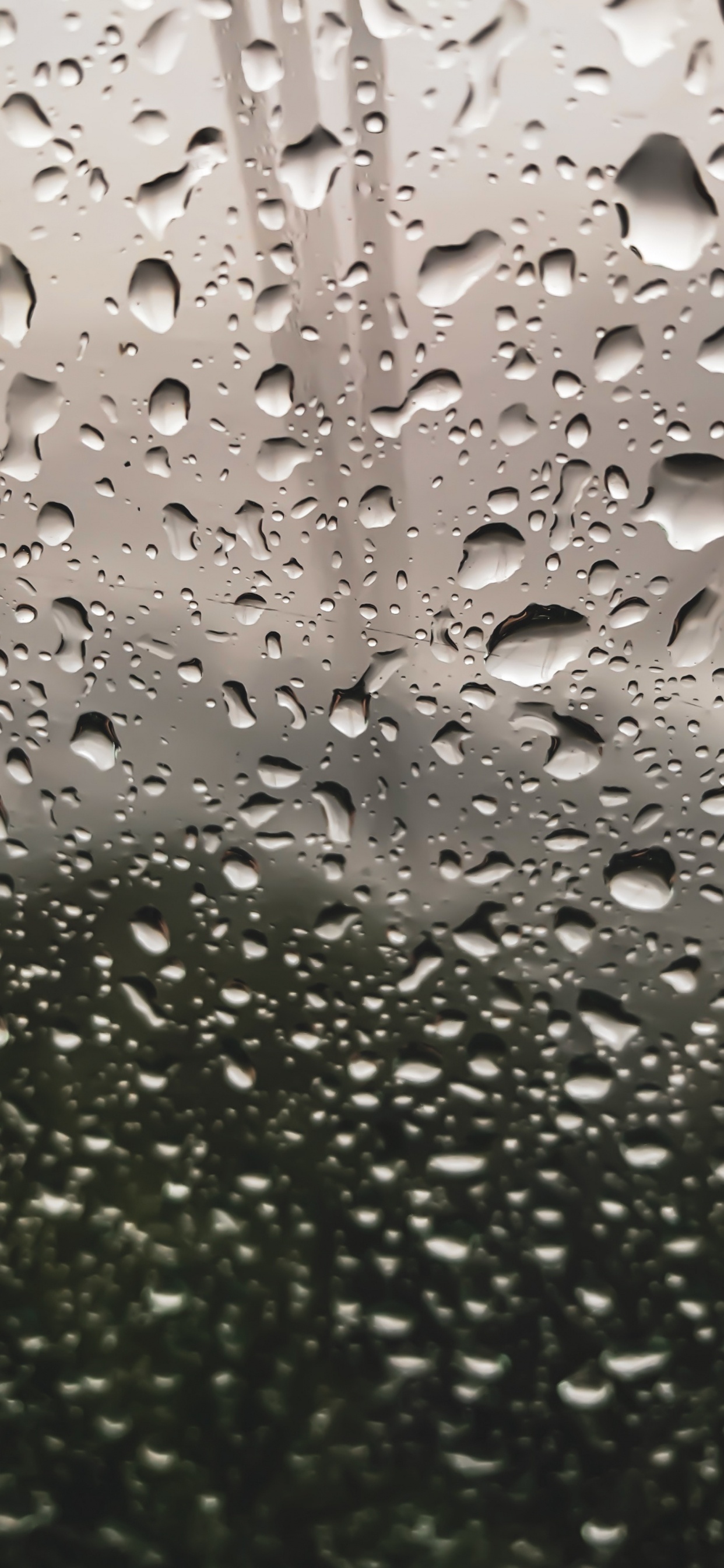 Lluvia, Rocío, Agua, Llovizna, Humedad. Wallpaper in 1242x2688 Resolution