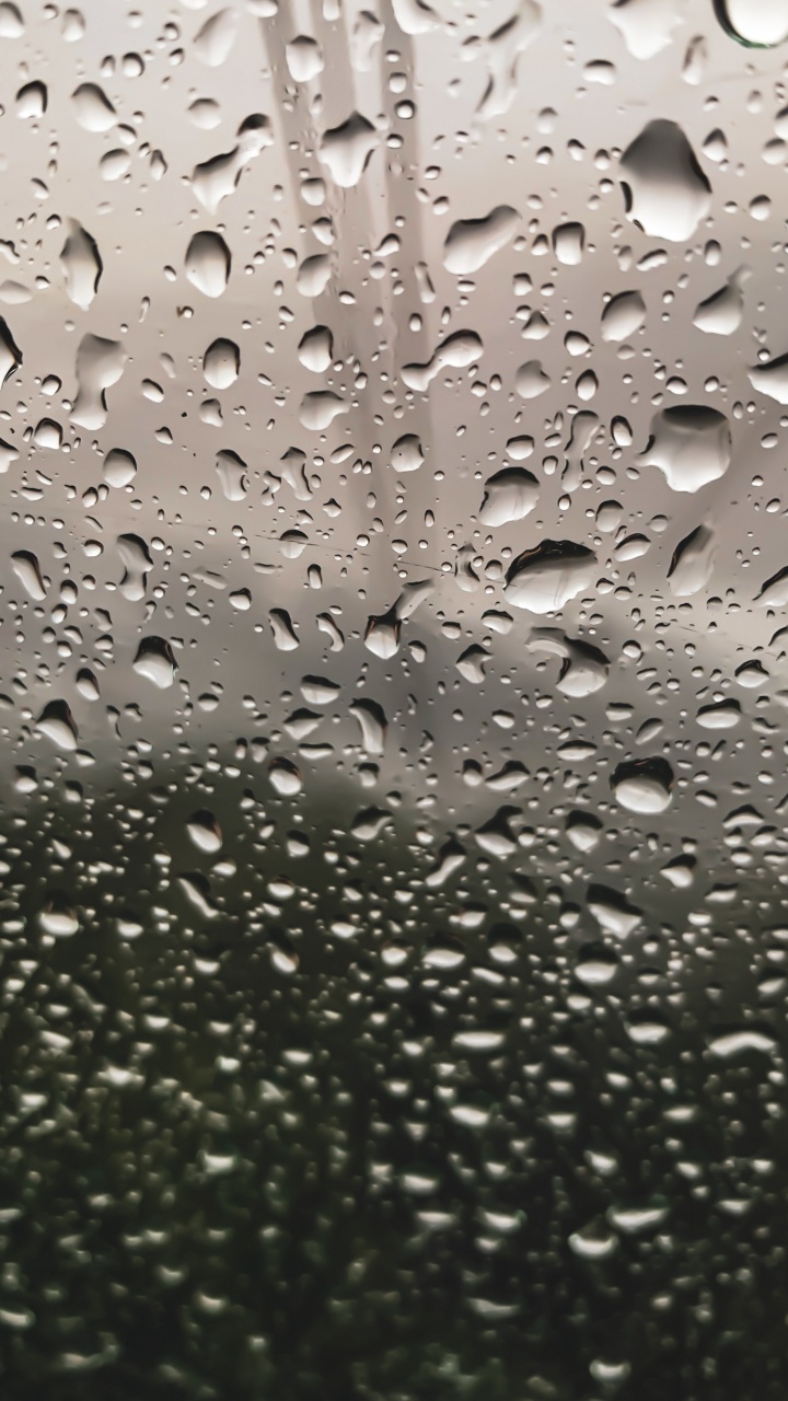 Lluvia, Rocío, Agua, Llovizna, Humedad. Wallpaper in 720x1280 Resolution