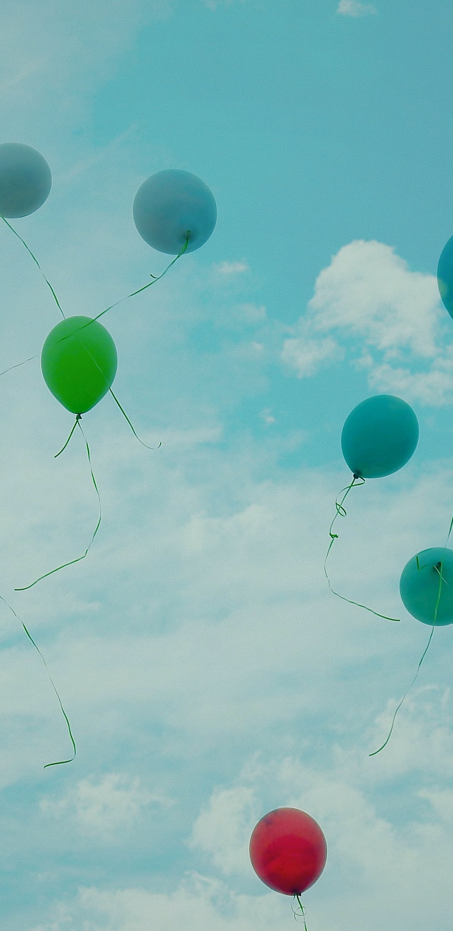 Blue Green and Red Balloons. Wallpaper in 1440x2960 Resolution