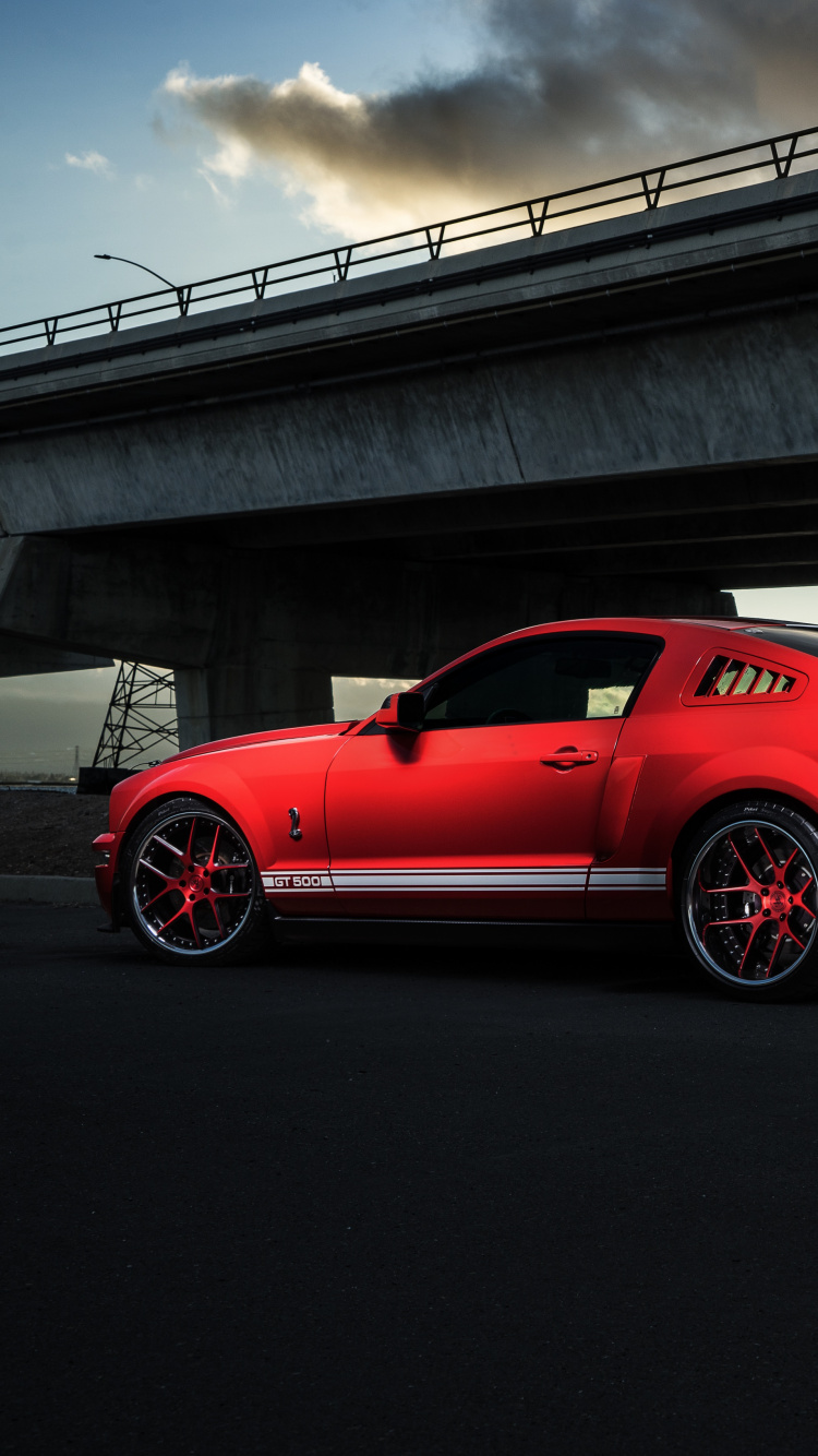 Mustang Sheley, Shelby Mustang, Ford, Ford Mustang, Cars. Wallpaper in 750x1334 Resolution