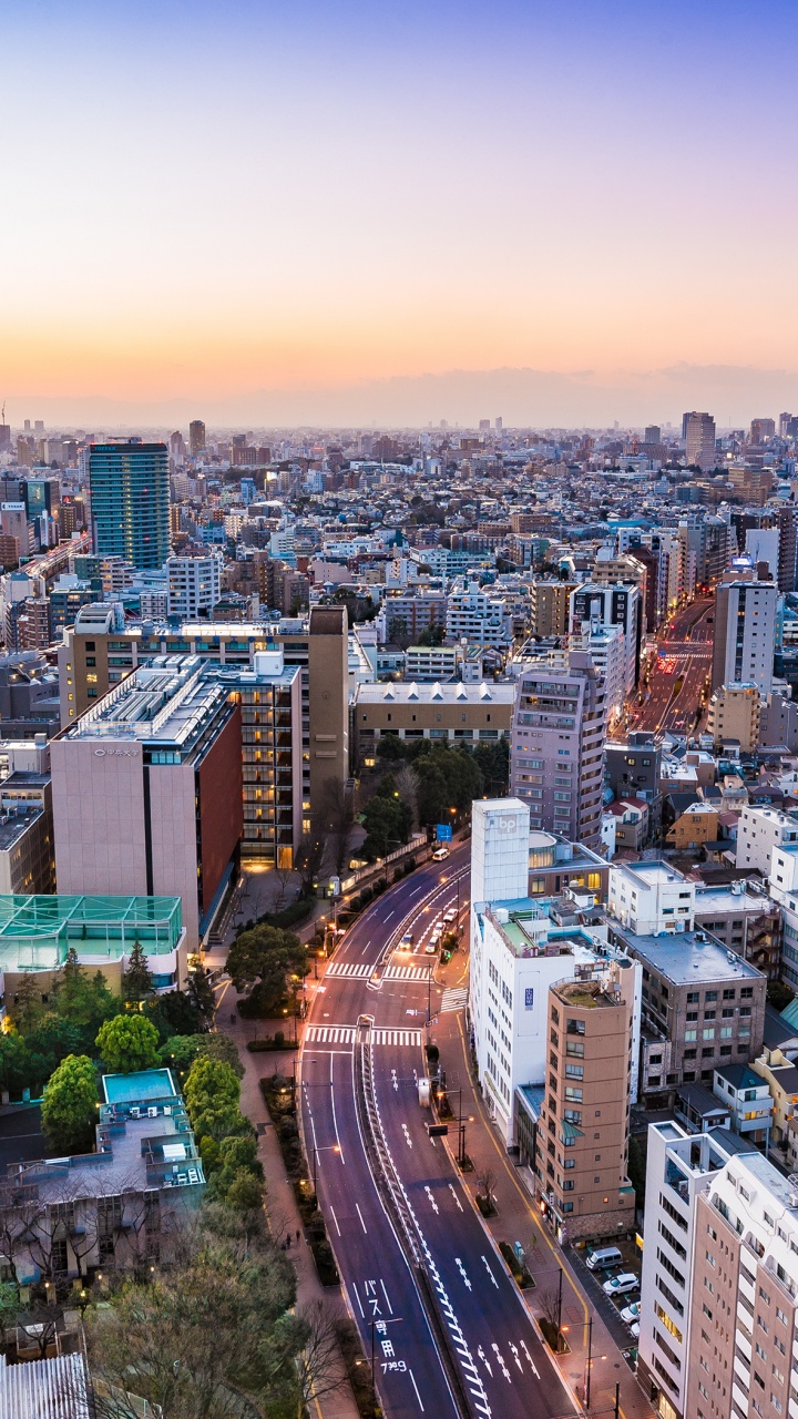 城市, 城市景观, 大都会, 天际线, 鸟瞰图 壁纸 720x1280 允许