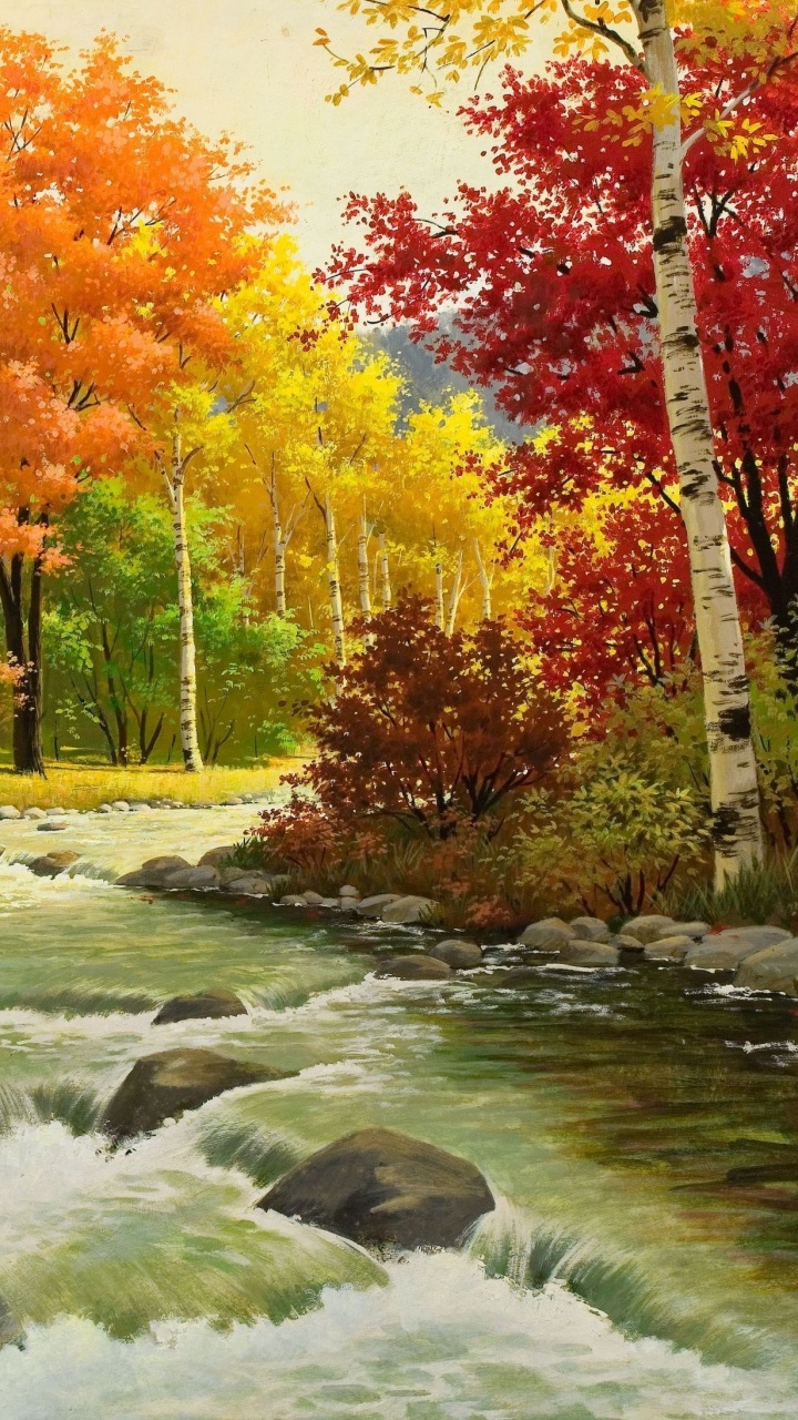 Orange and Yellow Leaves Trees Beside River. Wallpaper in 720x1280 Resolution