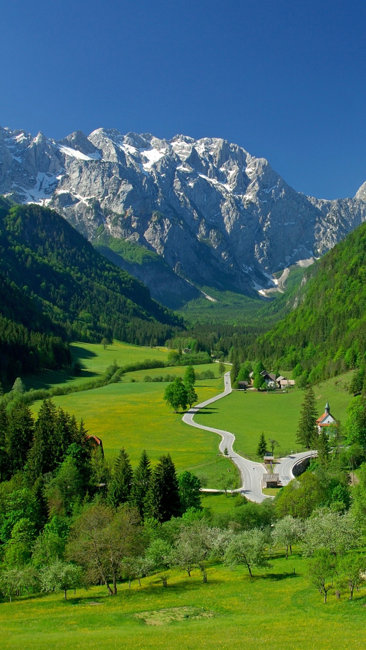 Green Trees on Green Grass Field Near Mountain Under Blue Sky During Daytime. Wallpaper in 720x1280 Resolution