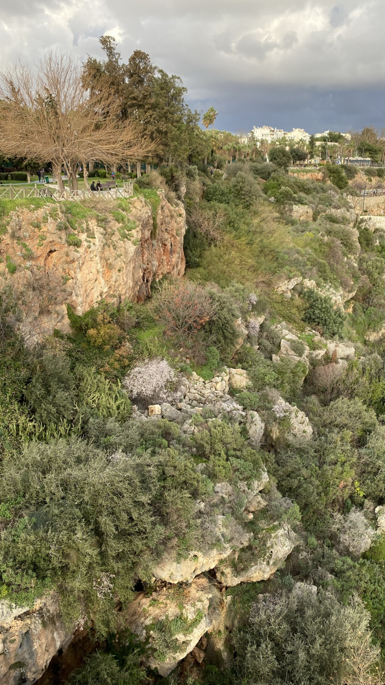 Vegetation, Biome, Heideflächen, Aufschluss, Cloud. Wallpaper in 750x1334 Resolution