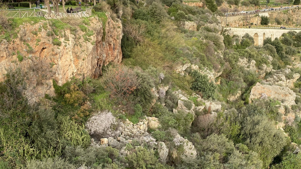 Vegetation, Biome, Shrubland, Outcrop, Cloud. Wallpaper in 1280x720 Resolution