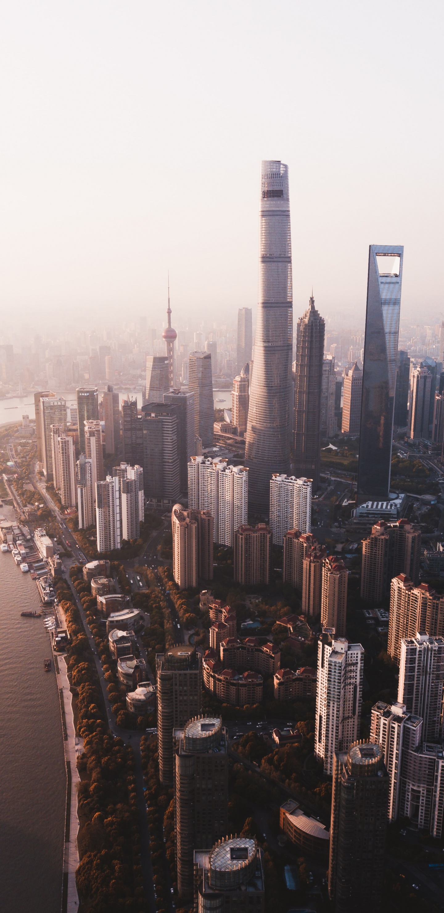 Immeubles de Grande Hauteur Près D'un Plan D'eau Pendant la Journée. Wallpaper in 1440x2960 Resolution