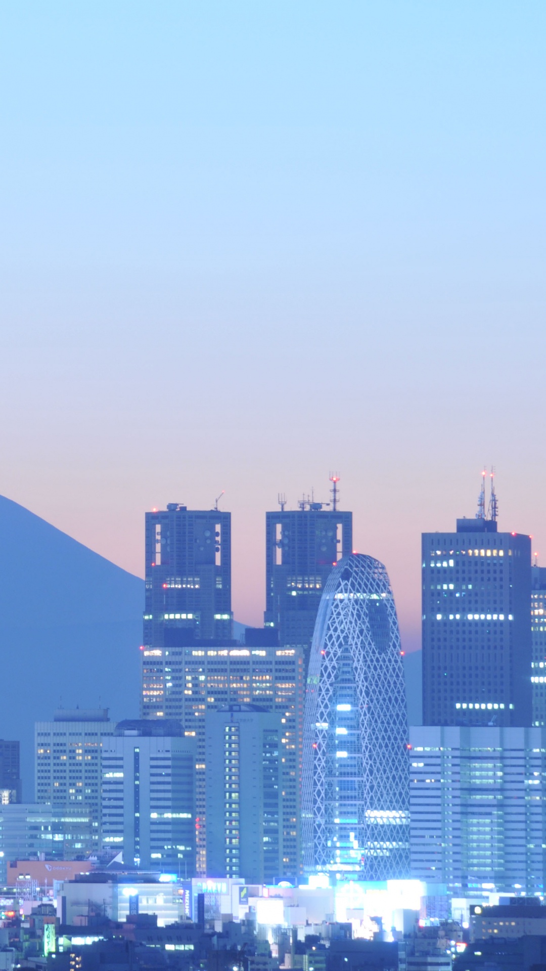 Skyline Der Stadt Unter Grauem Himmel Tagsüber. Wallpaper in 1080x1920 Resolution