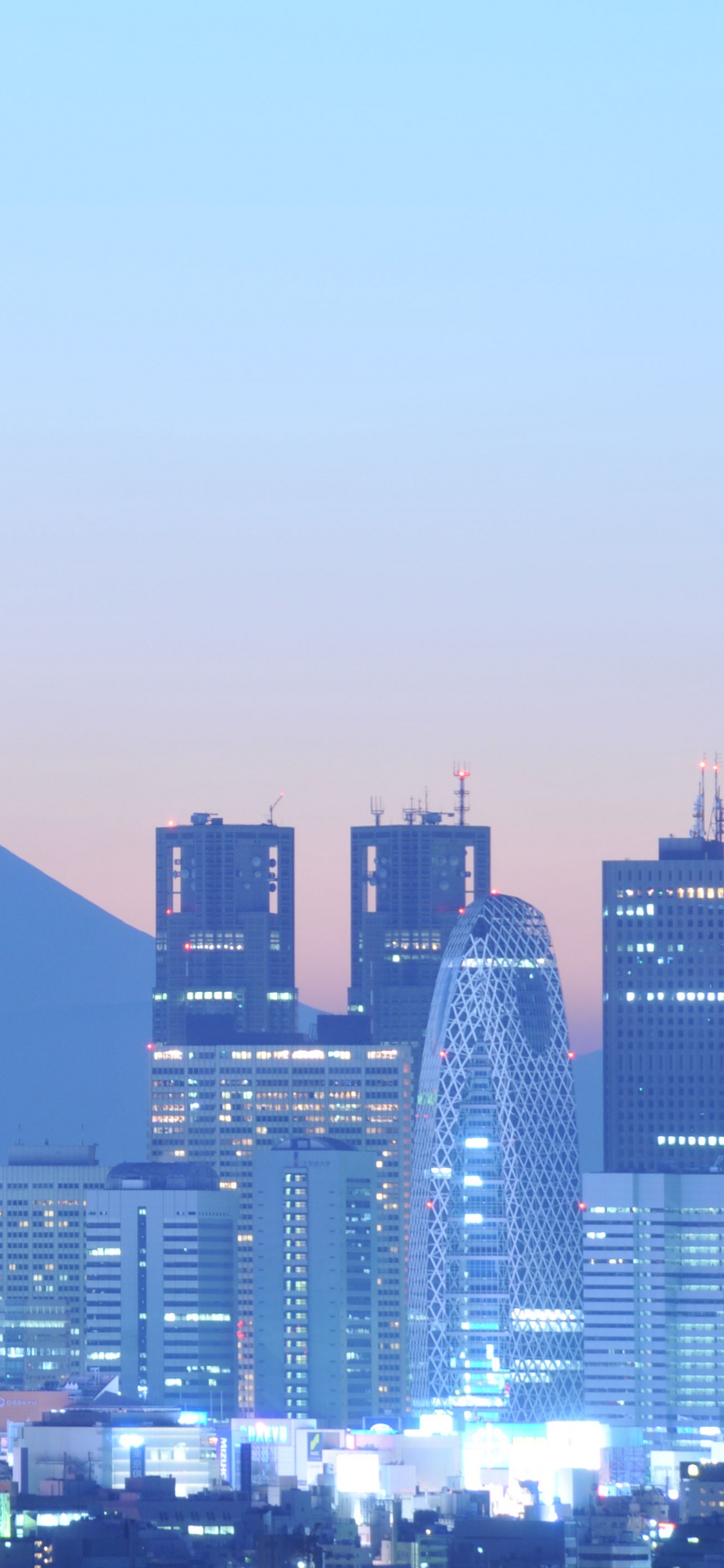 Skyline Der Stadt Unter Grauem Himmel Tagsüber. Wallpaper in 1125x2436 Resolution