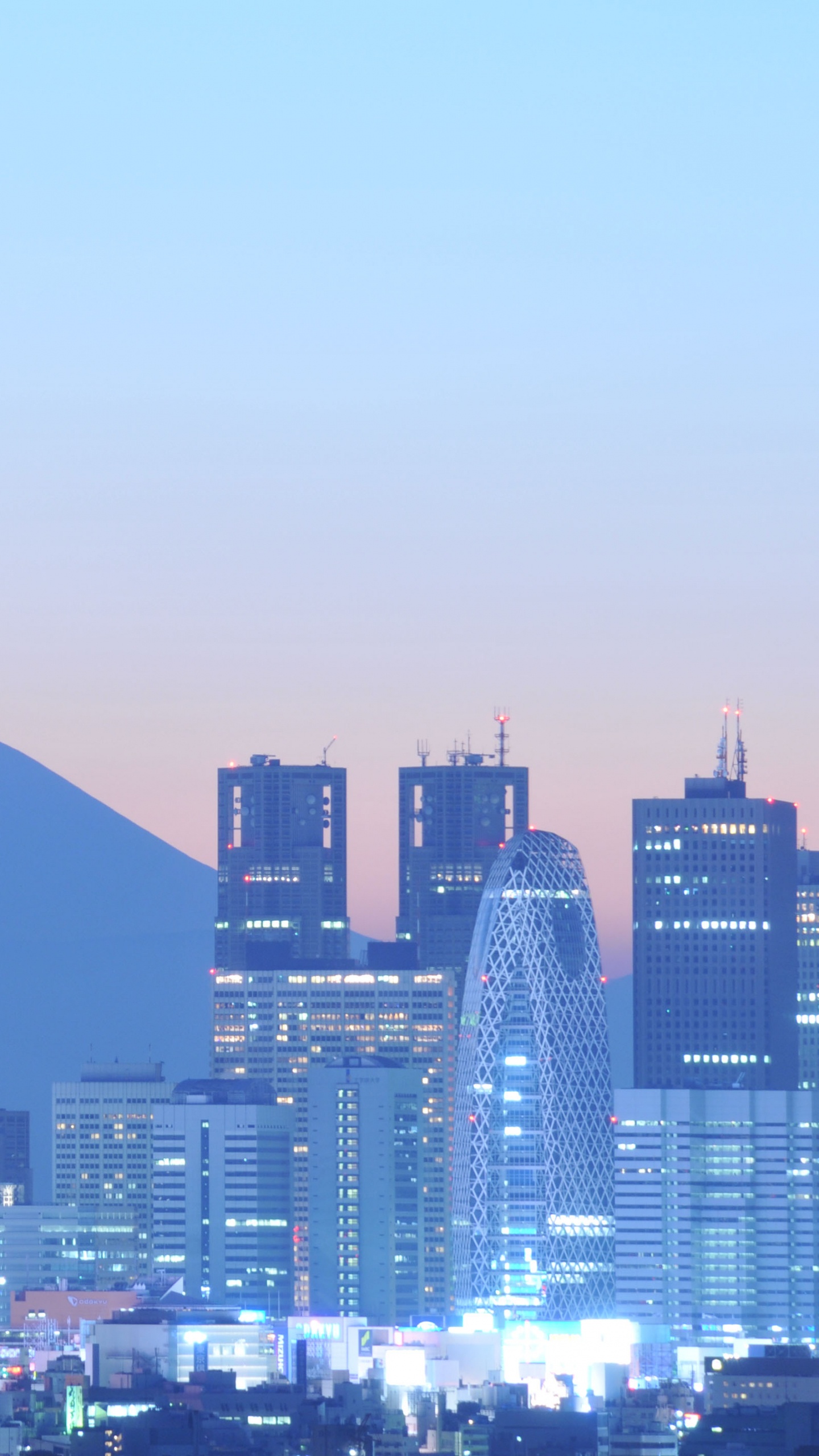 Skyline Der Stadt Unter Grauem Himmel Tagsüber. Wallpaper in 1440x2560 Resolution