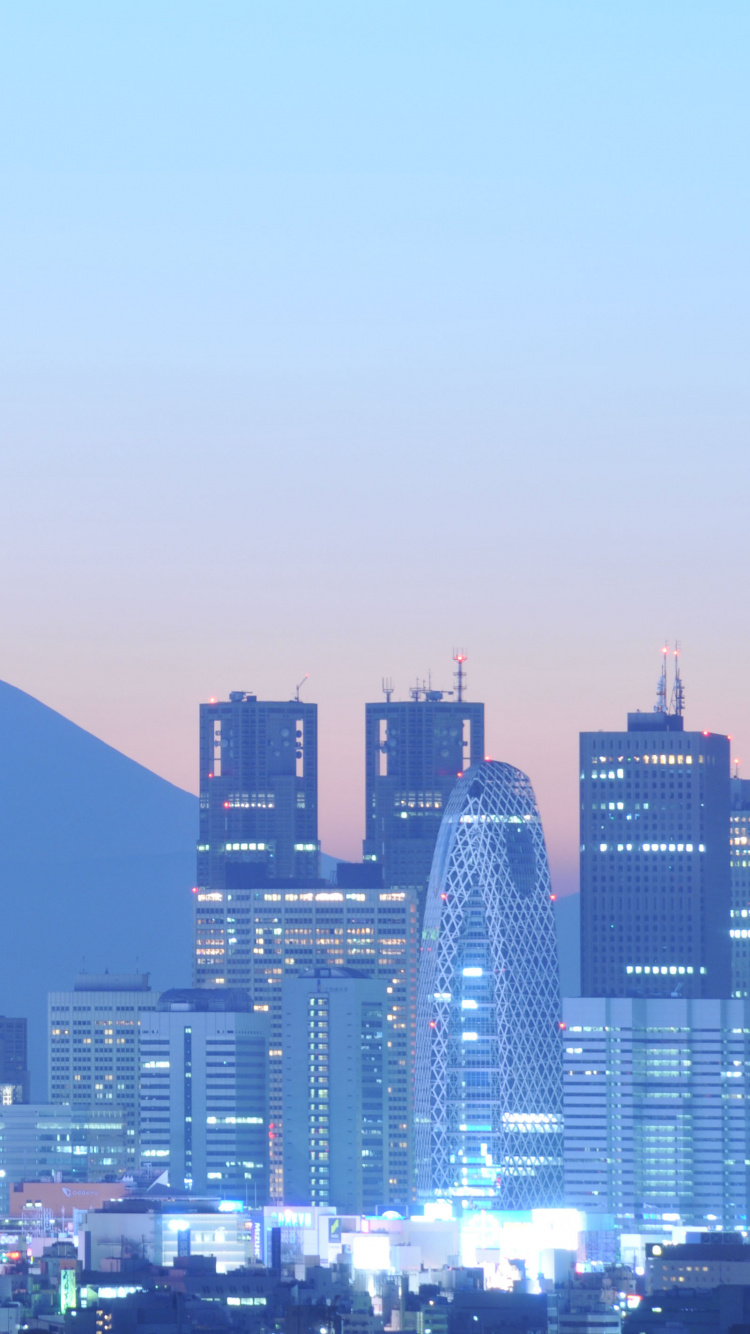 Skyline Der Stadt Unter Grauem Himmel Tagsüber. Wallpaper in 750x1334 Resolution