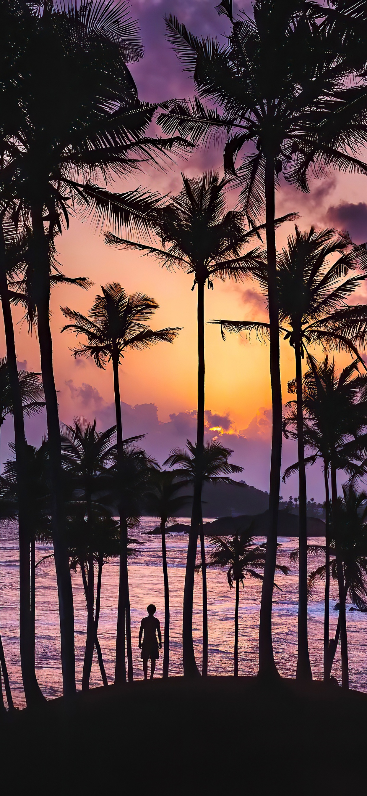 Afterglow, Wasser, Licht, Baum, Strand. Wallpaper in 1242x2688 Resolution