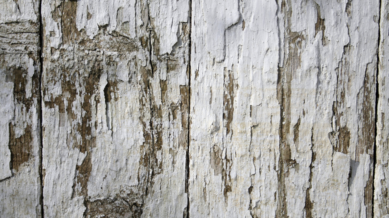 Surface en Bois Blanche et Marron. Wallpaper in 1280x720 Resolution